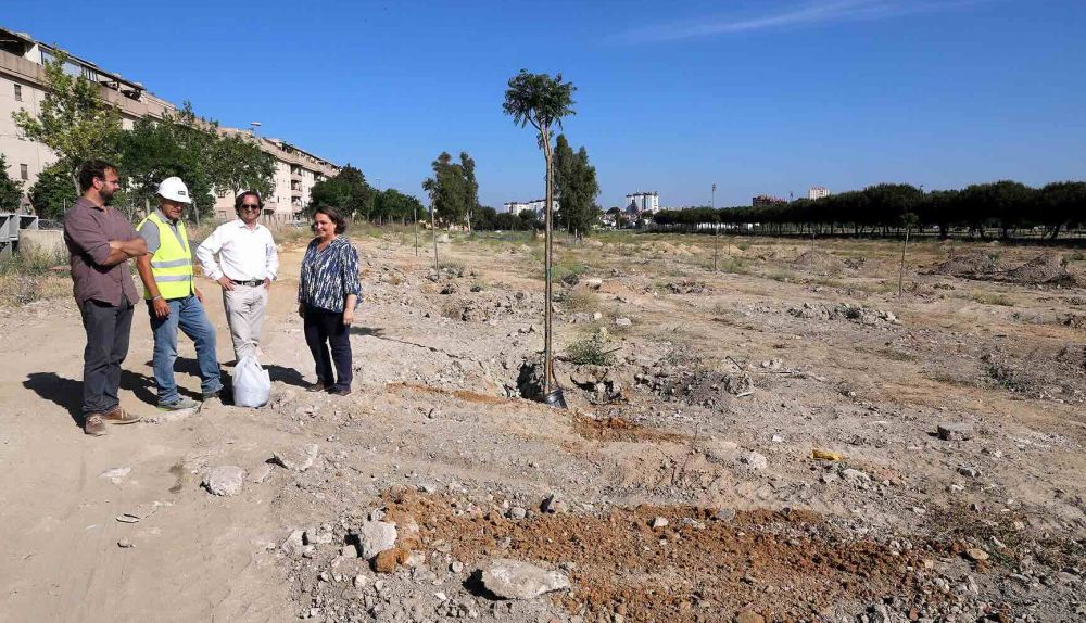 Este Nuevo Bosque Urbano De Jerez Va A Tener Ya Plantados 300 Nuevos