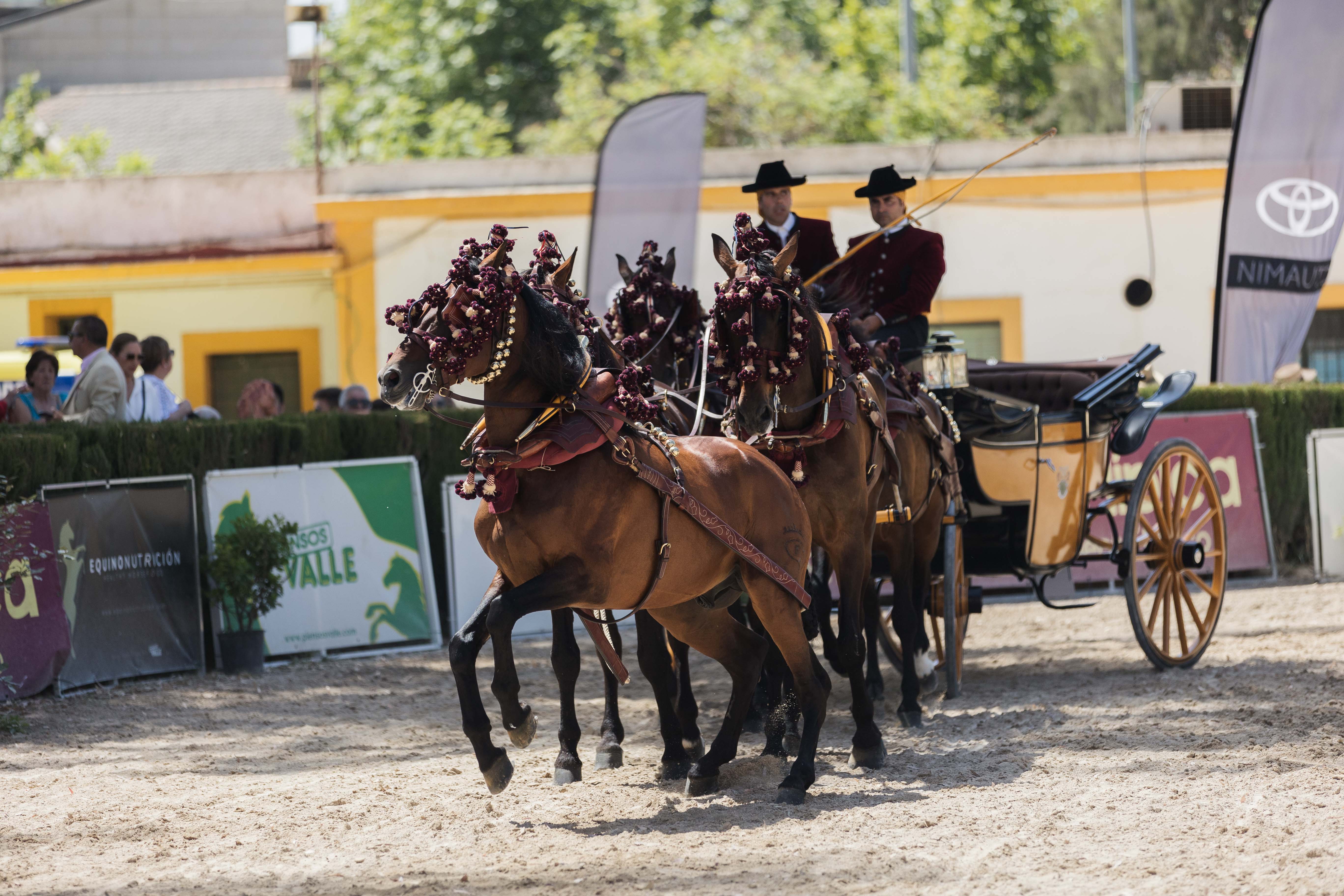 Un enganche durante un concurso en Jerez en una imagen de archivo.