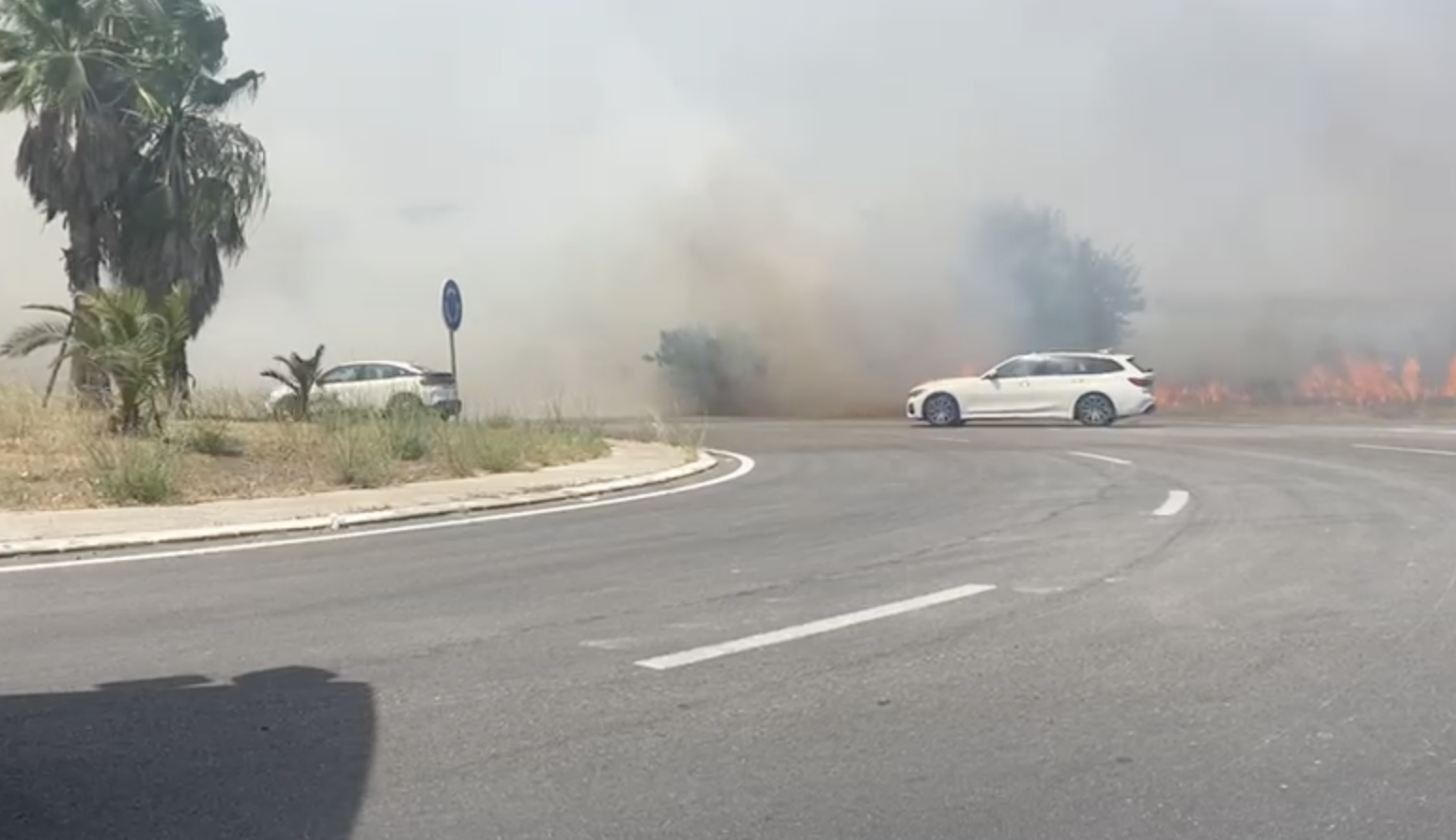 Enorme incendio cerca de La Cartuja de Jerez: columna de humo visible desde la Bahía.