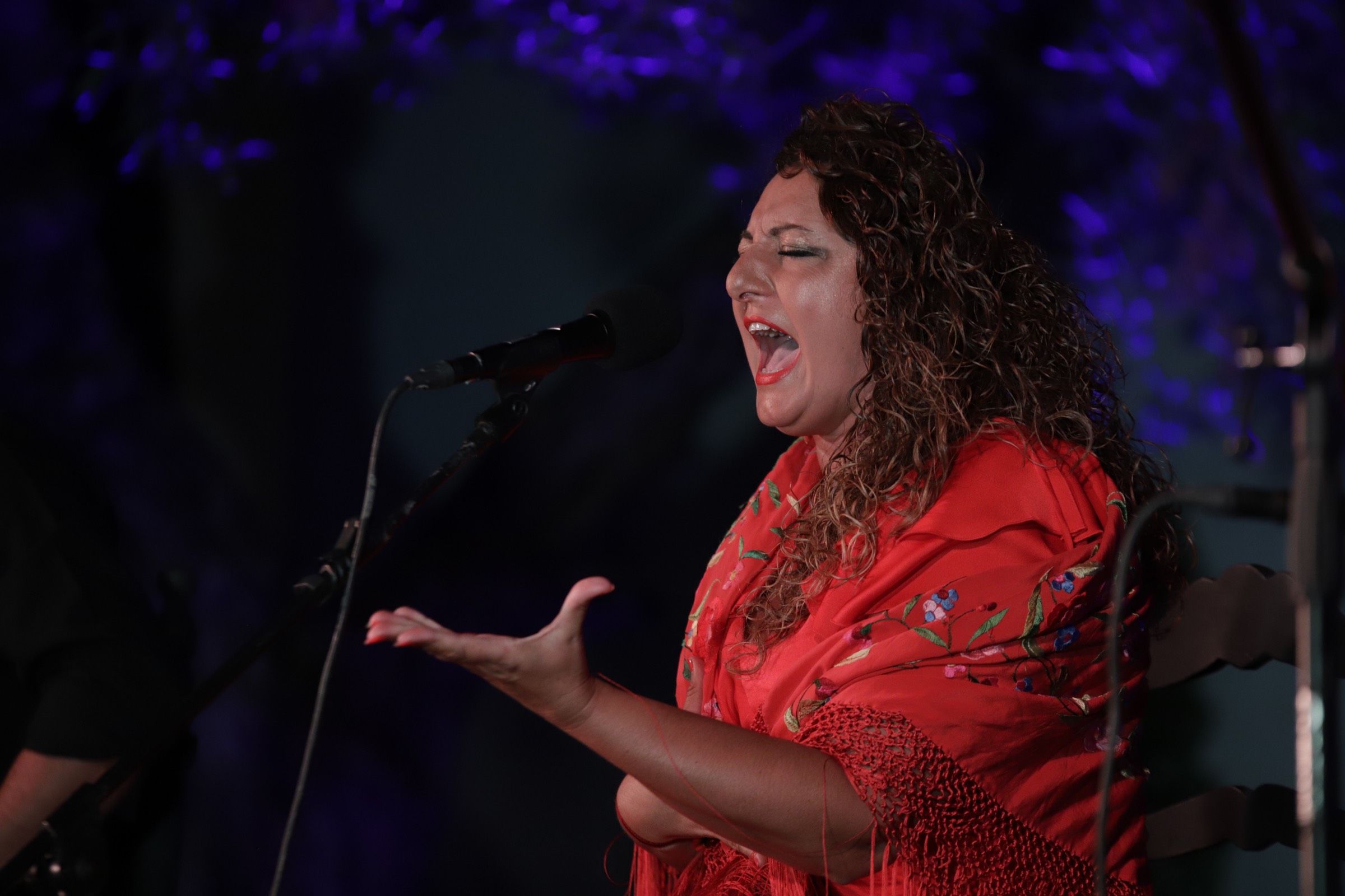 Macarena de Jerez actuando en la Bienal de Cante