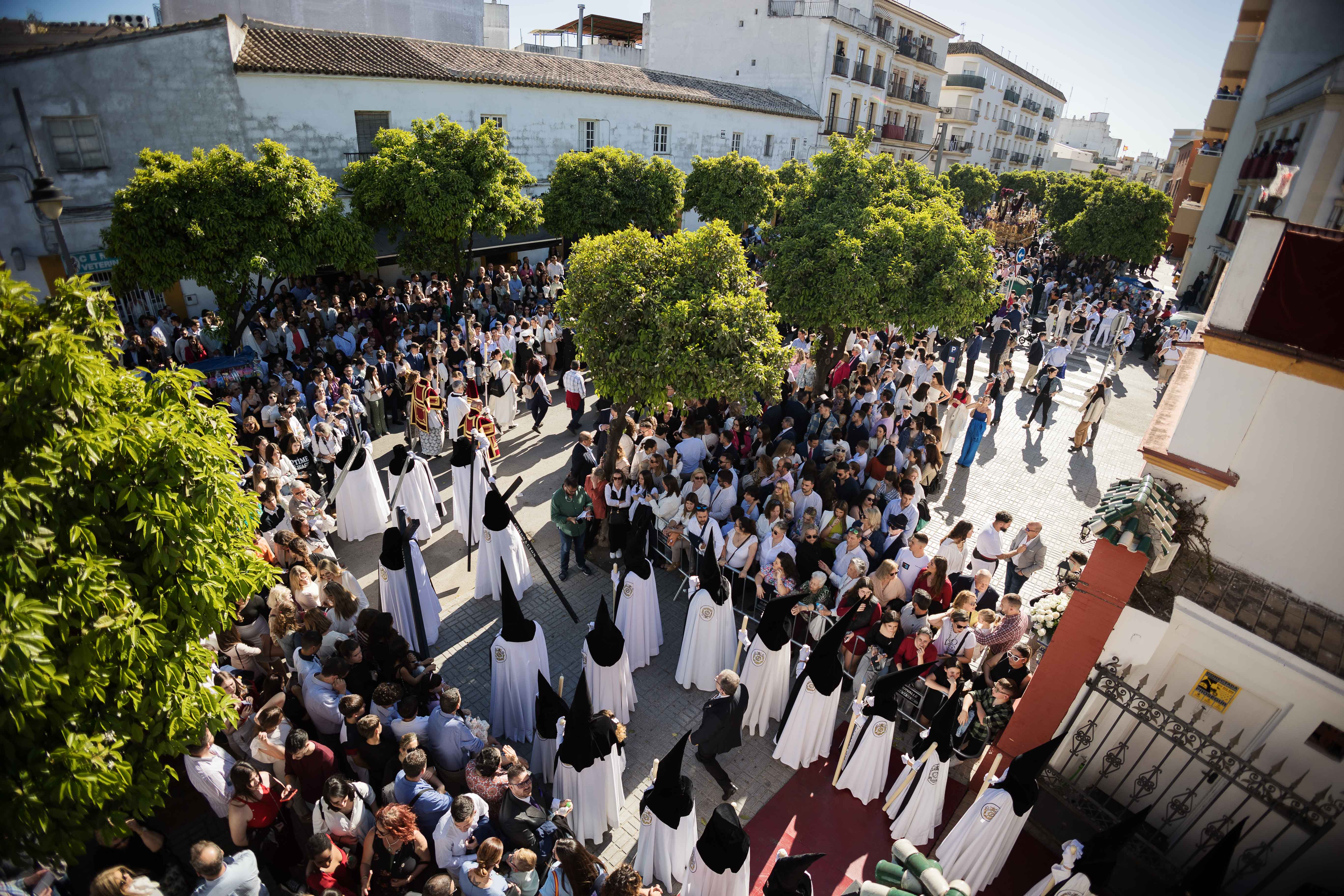 Domingo de Ramos en Jerez  La Coronación Coronación de renuevos