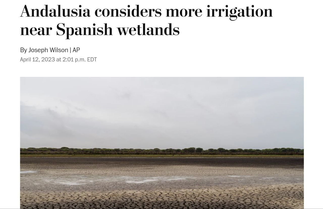 'The Washington Post' sobre Doñana.