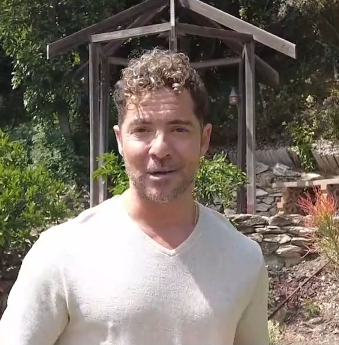 Bisbal en su vídeo de agradecimiento.