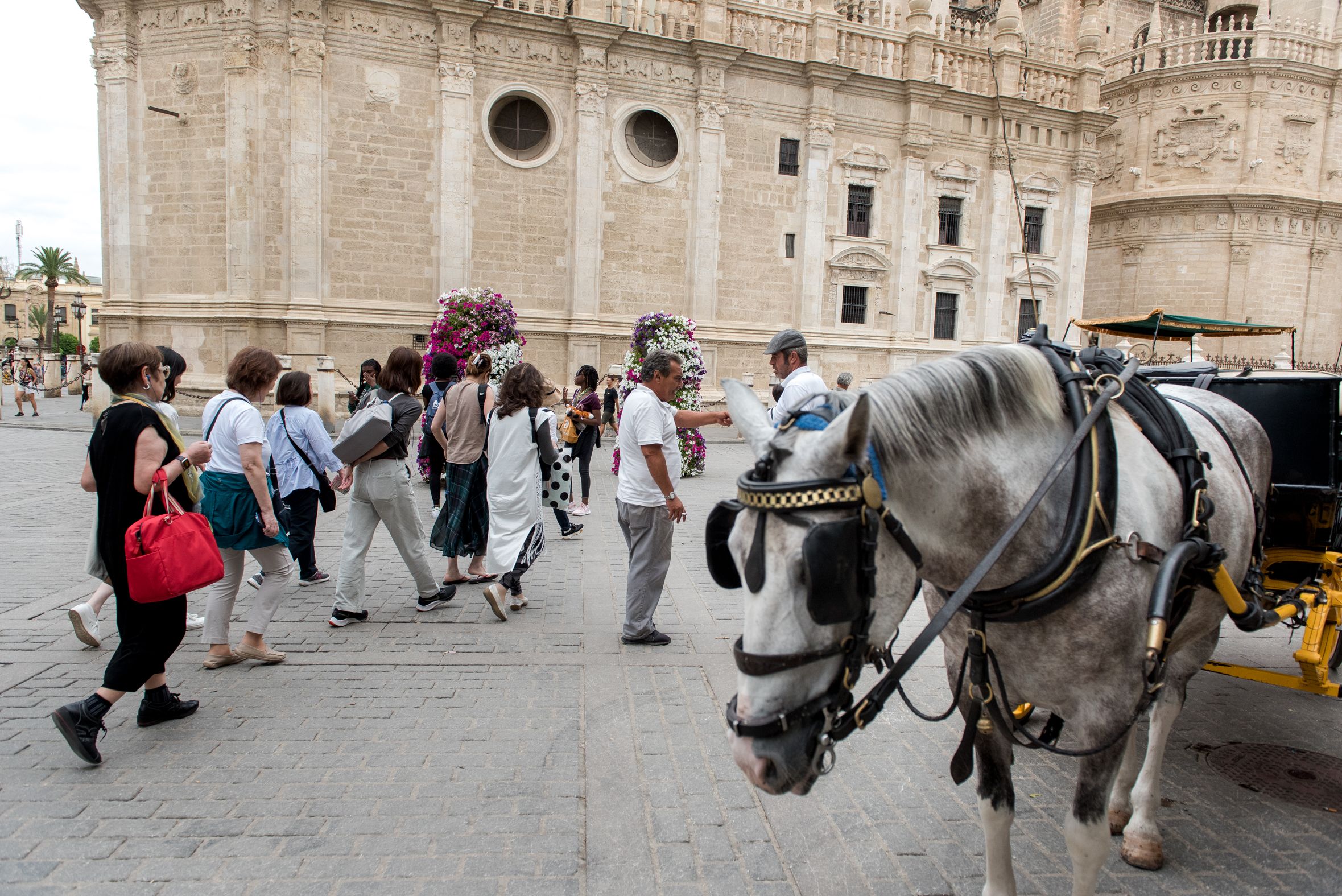 Un coche de caballos en Sevilla, en una imagen reciente.