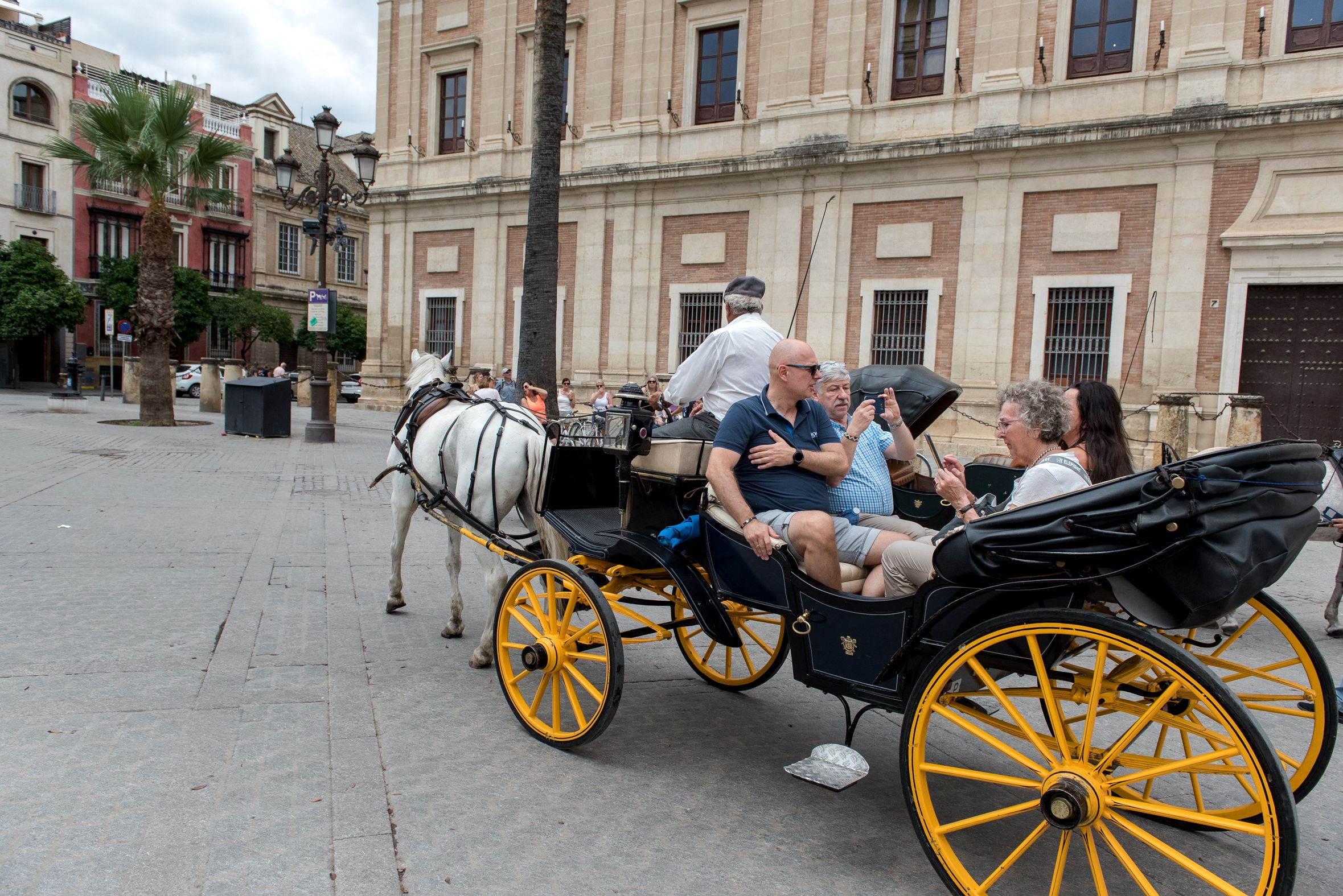 Uno de los coches de caballos que se pueden ver en Sevilla.