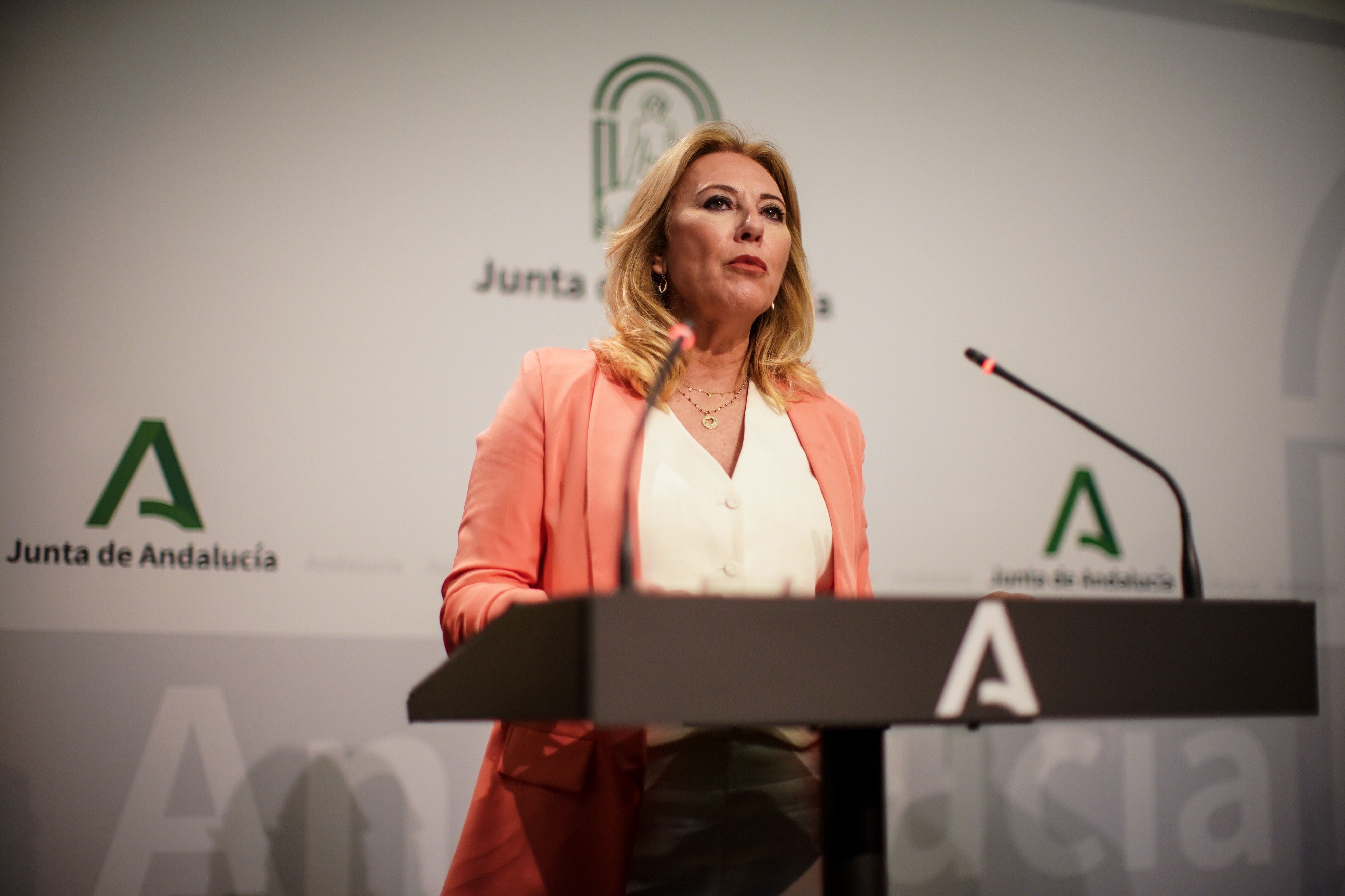 Carolina España, consejera de la Junta, ha presentado el plan para ahorrar en alquileres.