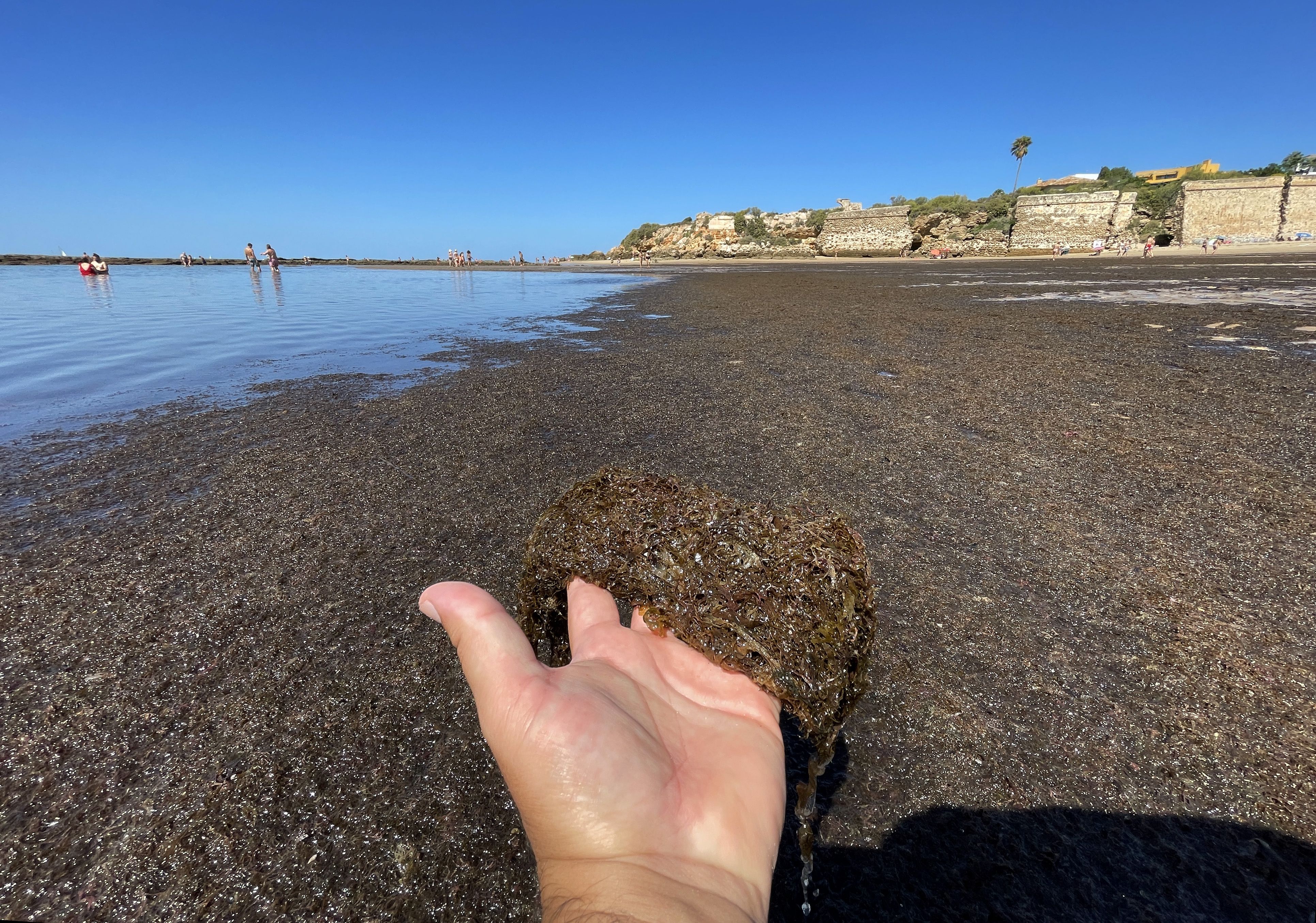 Así está la playa de la Muralla, de El Puerto de Santa María, este sábado.