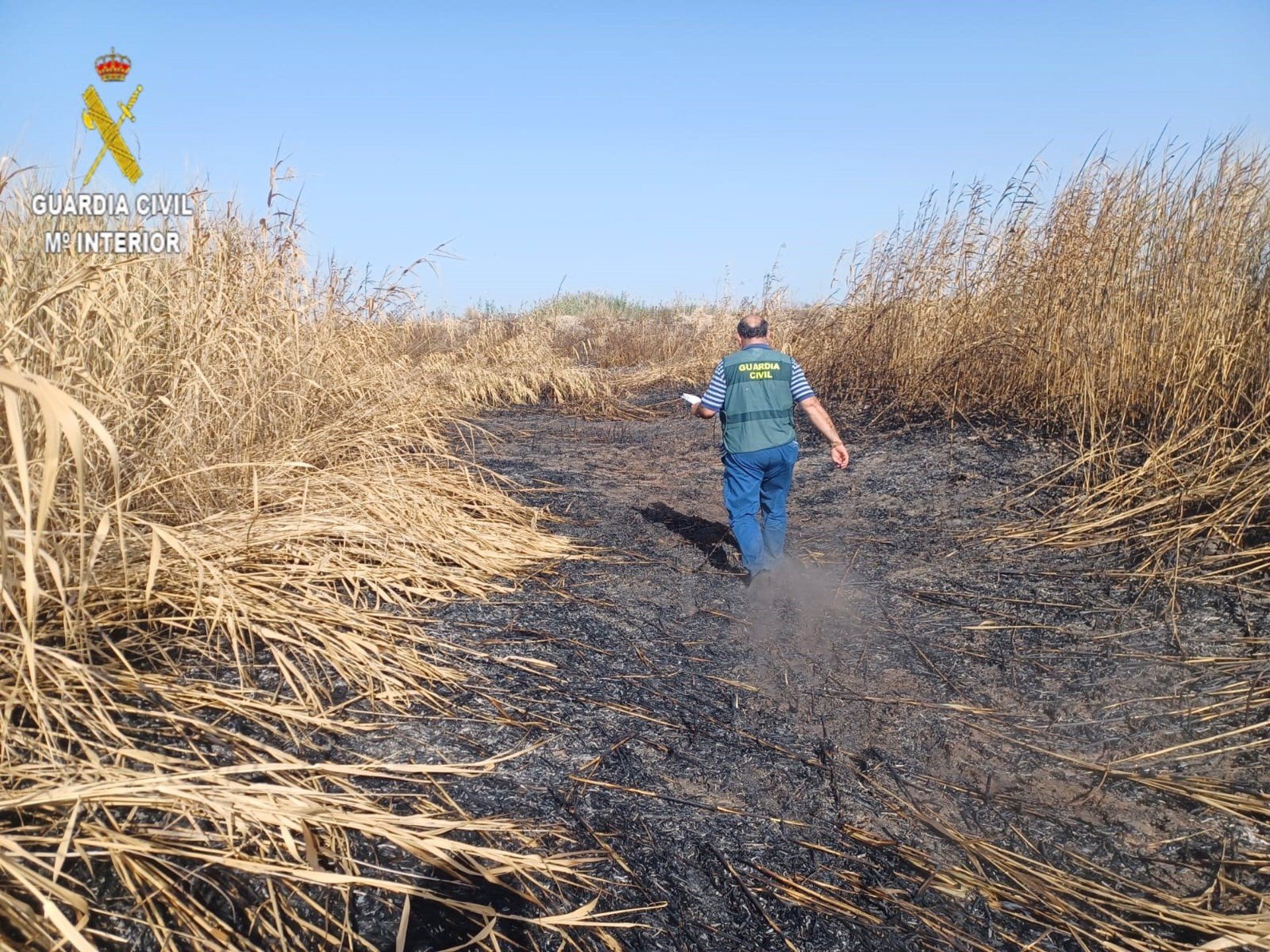 Detienen a un pirómano en Sevilla como causante de varios incendios