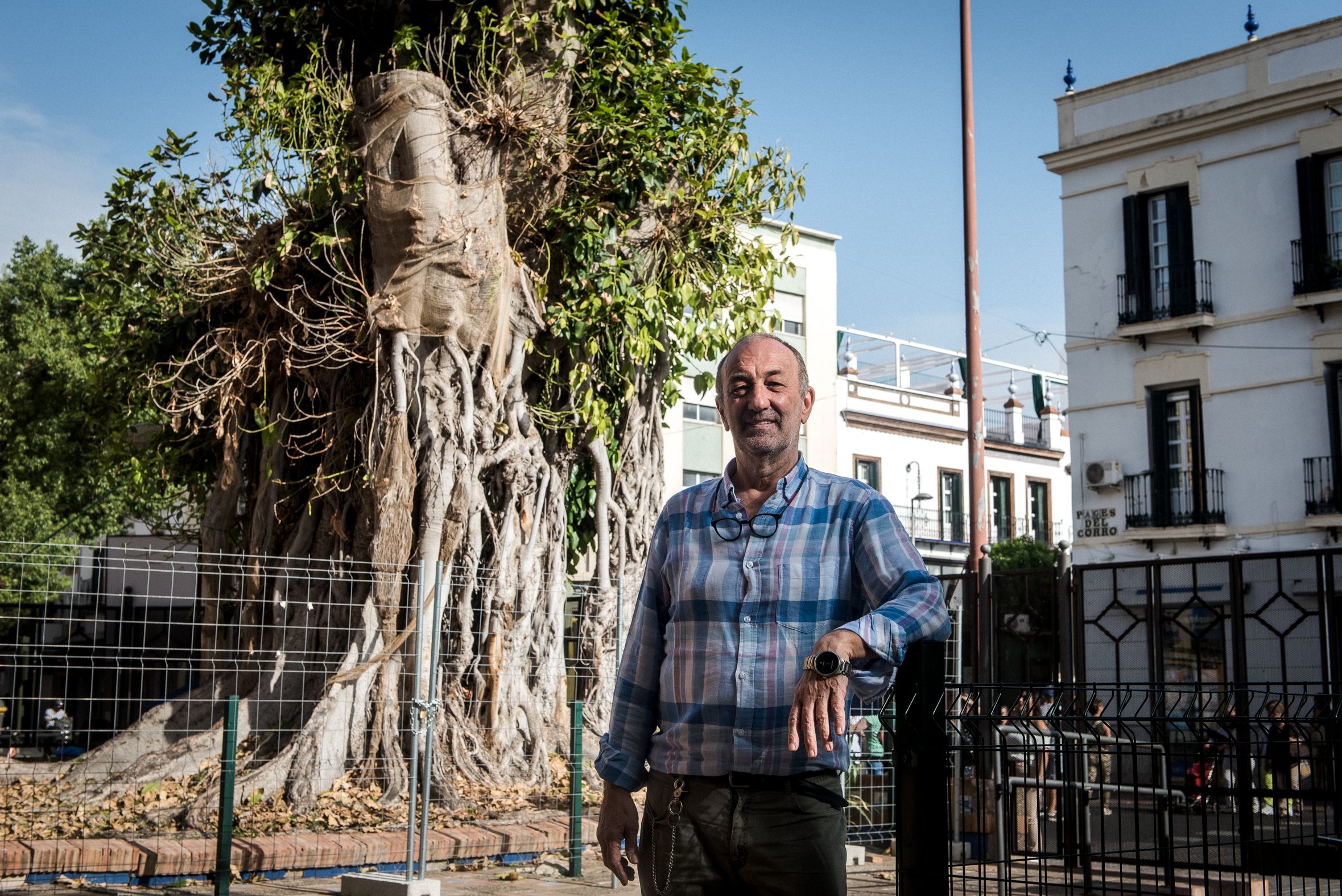 Fray Javier, párroco de San Jacinto, ante el ficus.