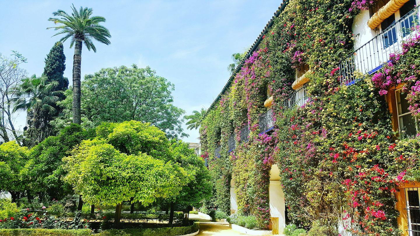 La fachada del Palacio de Dueñas, en Sevilla, en una imagen de la Casa de Alba.