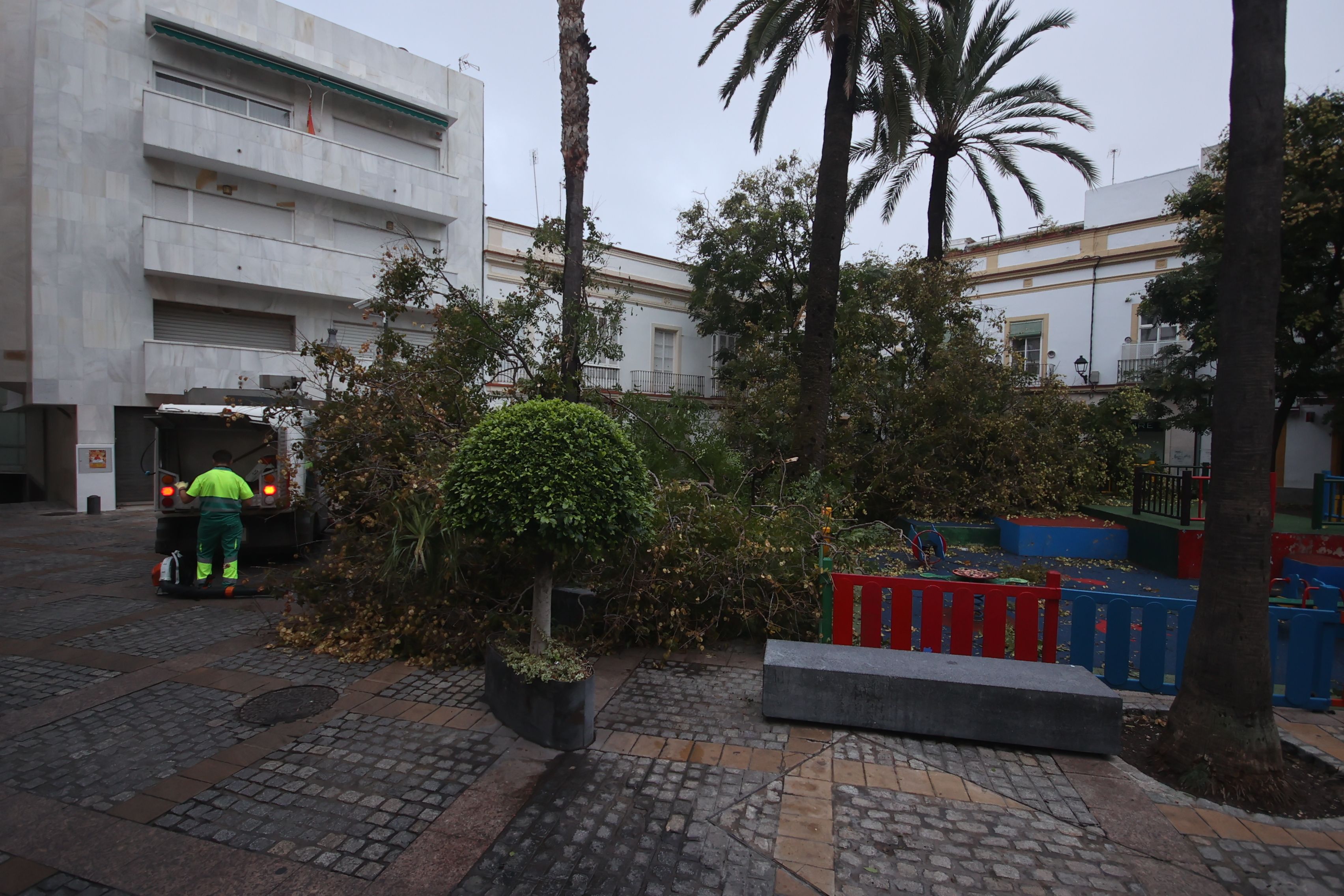 Efectos de un temporal de viento en Jerez.