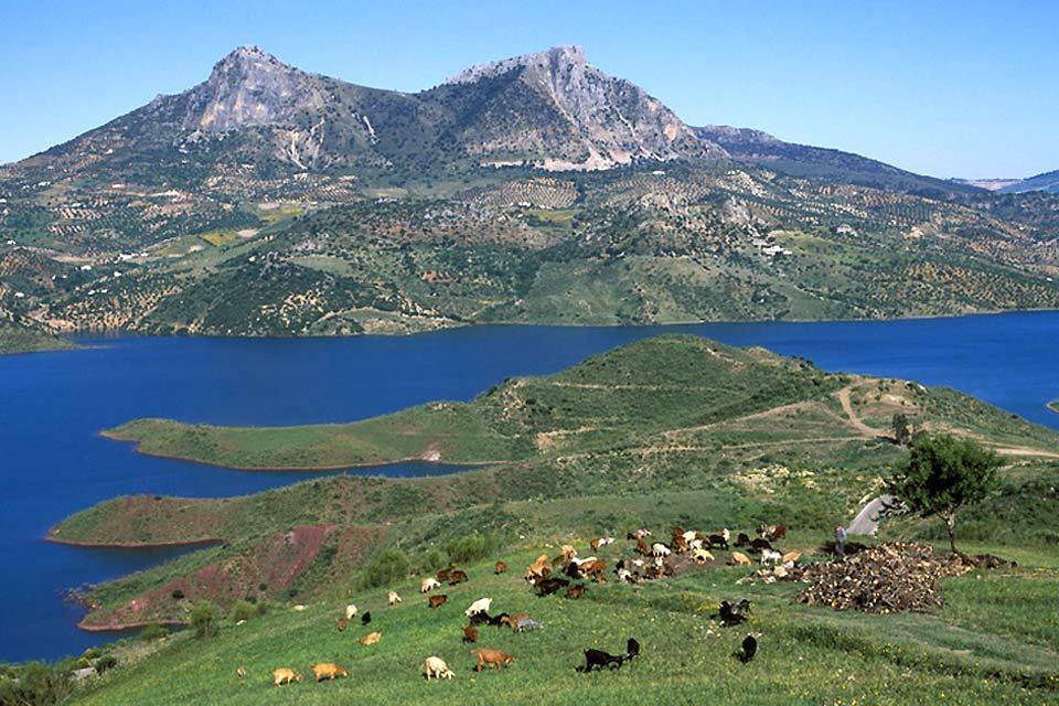 Panorámica de la sierra de Grazalema, donde habrá una alerta amarilla por lluvias.