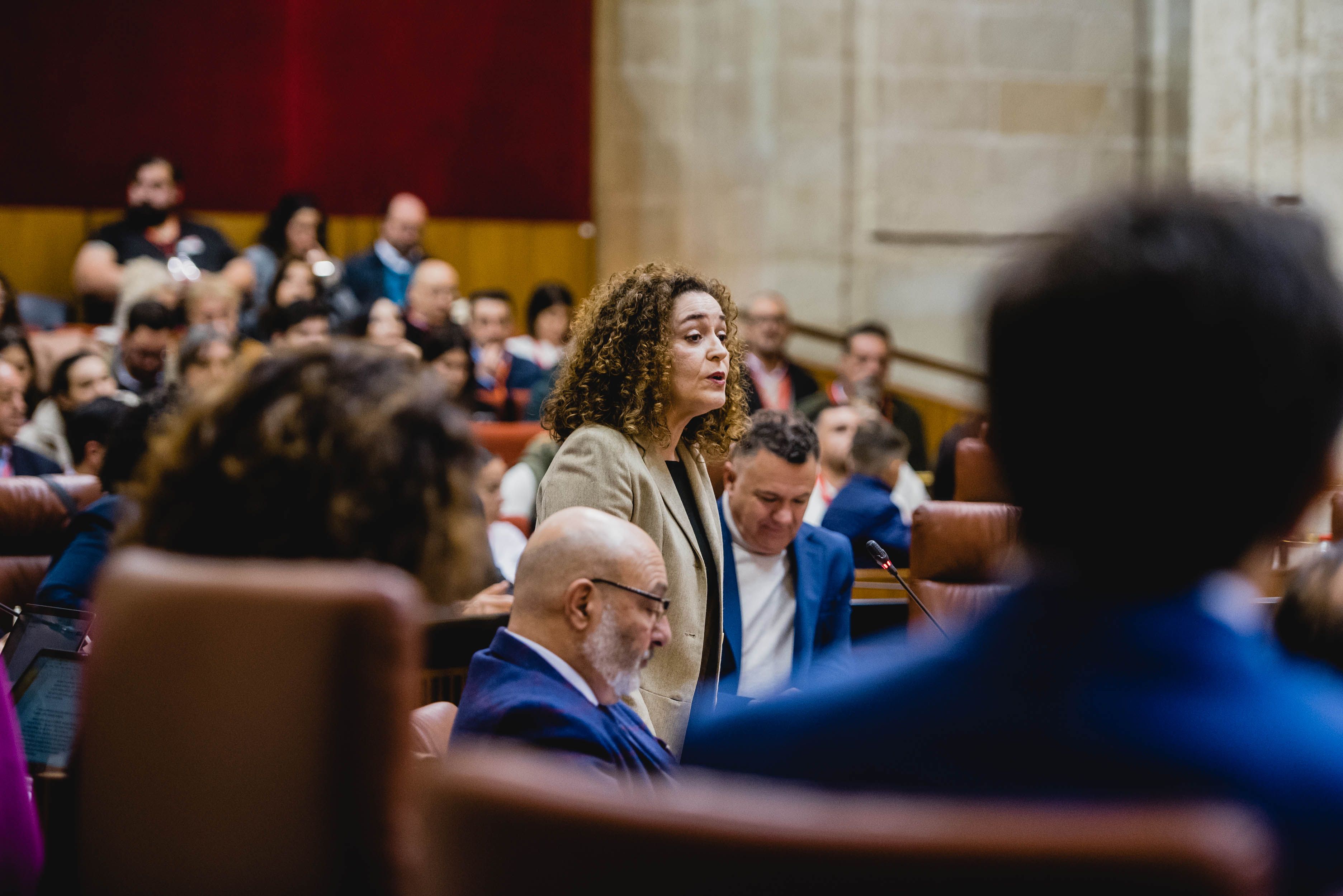 Inmaculada Nieto, de IU y portavoz de Por Andalucía, en el Parlamento.