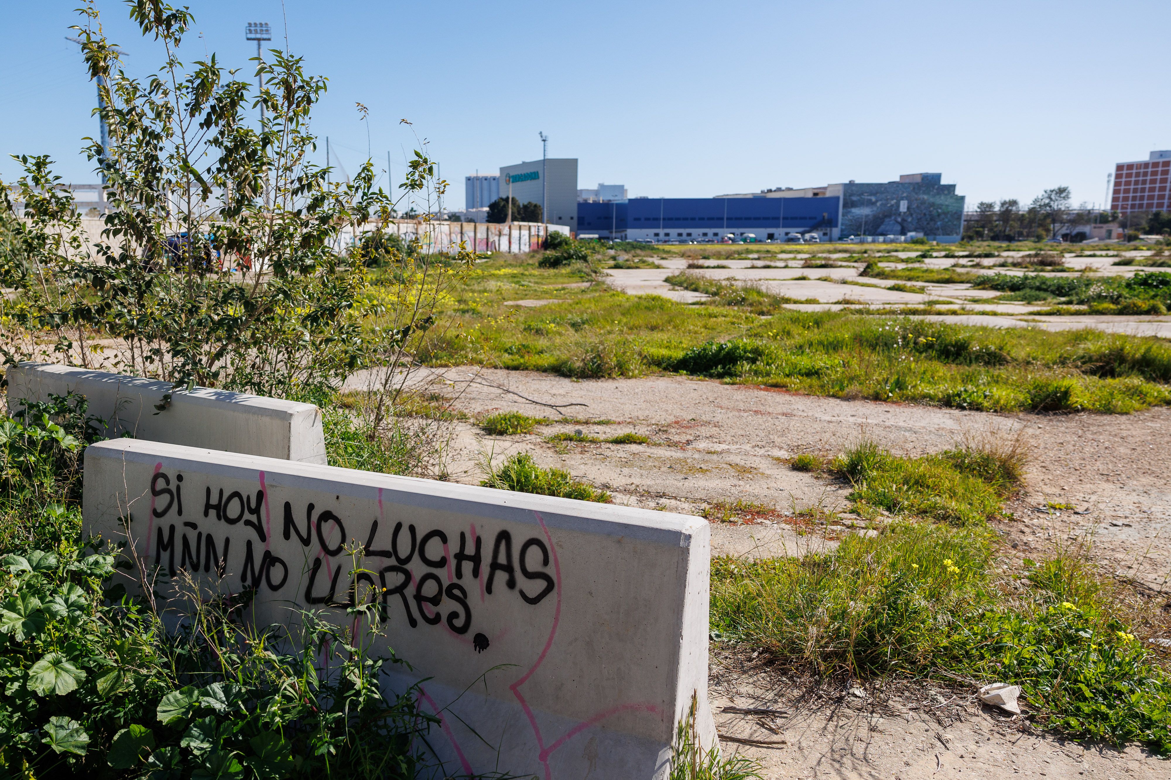 Solar destinado a la construcción del nuevo hospital en Cádiz, este mes de febrero.