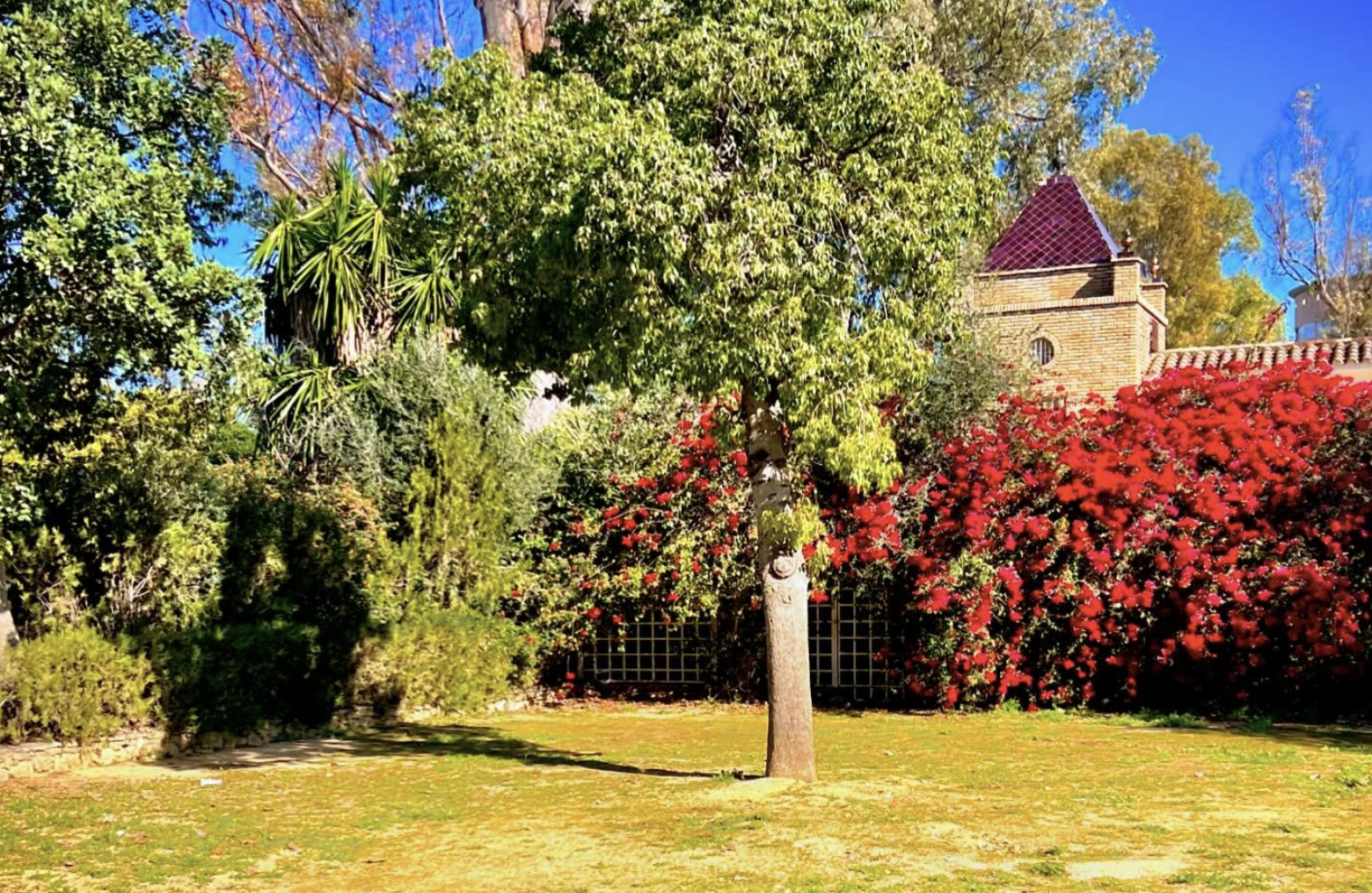 Israel Ramos ya tiene la 'bendición' municipal para rehabilitar el antiguo restaurante El Bosque, en la imagen subida por el propio estrella Michelin jerezano.