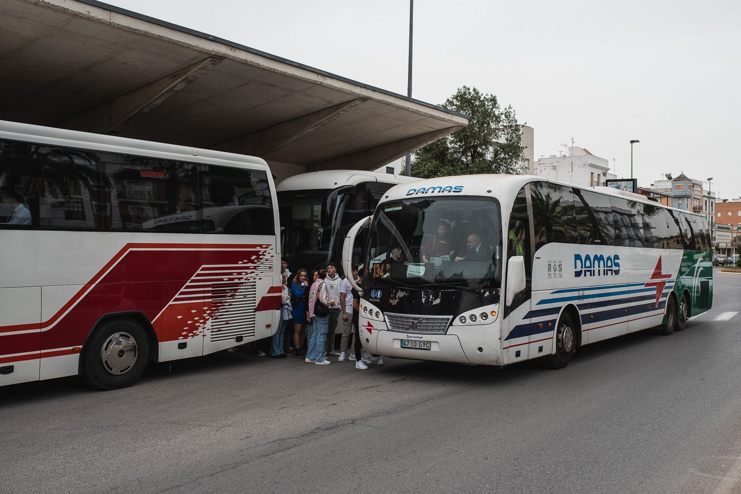 La parada del autobús, principal transporte público de Los Palacios, en una imagen de archivo.