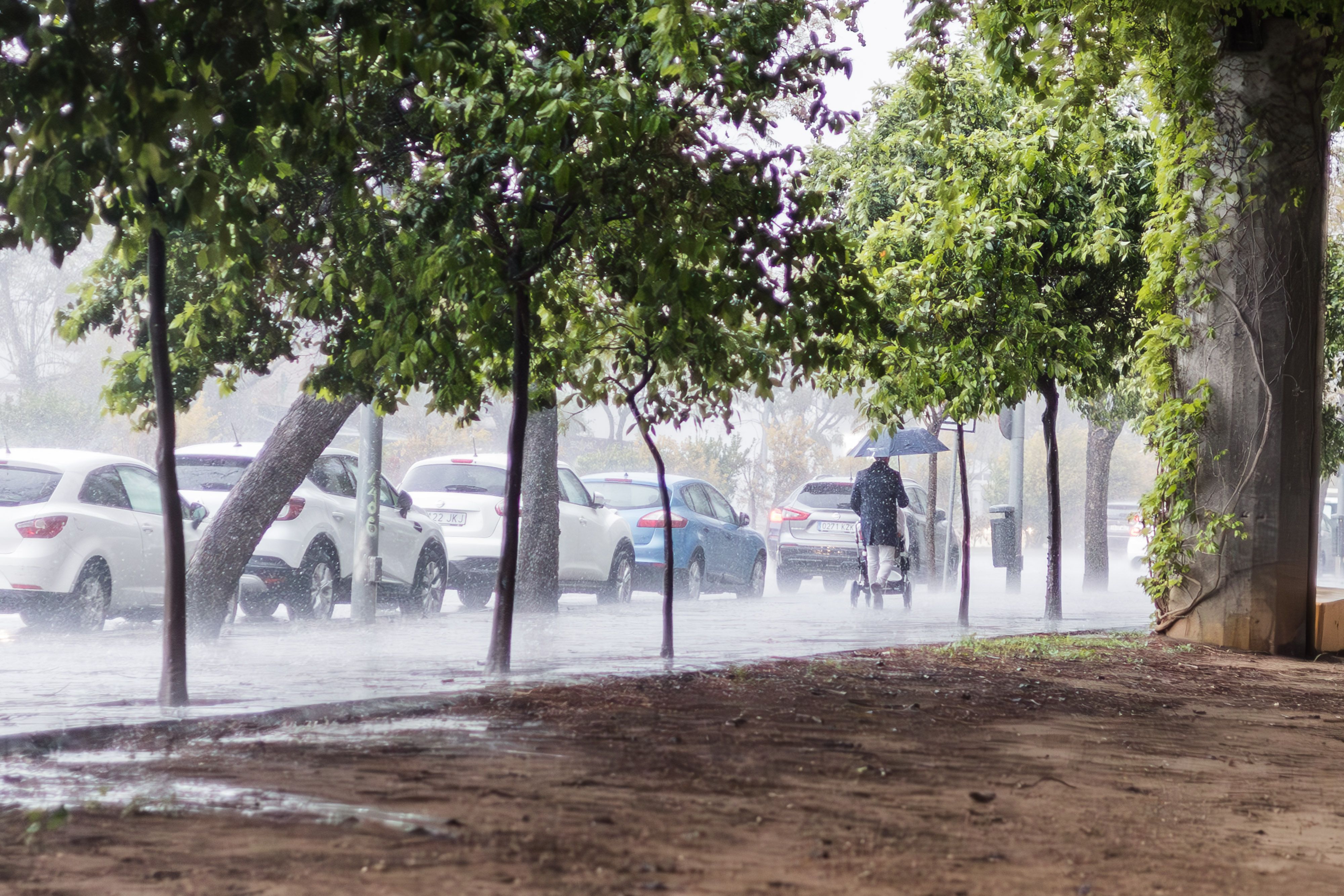 Fuertes lluvias en Jerez, en una imagen reciente.