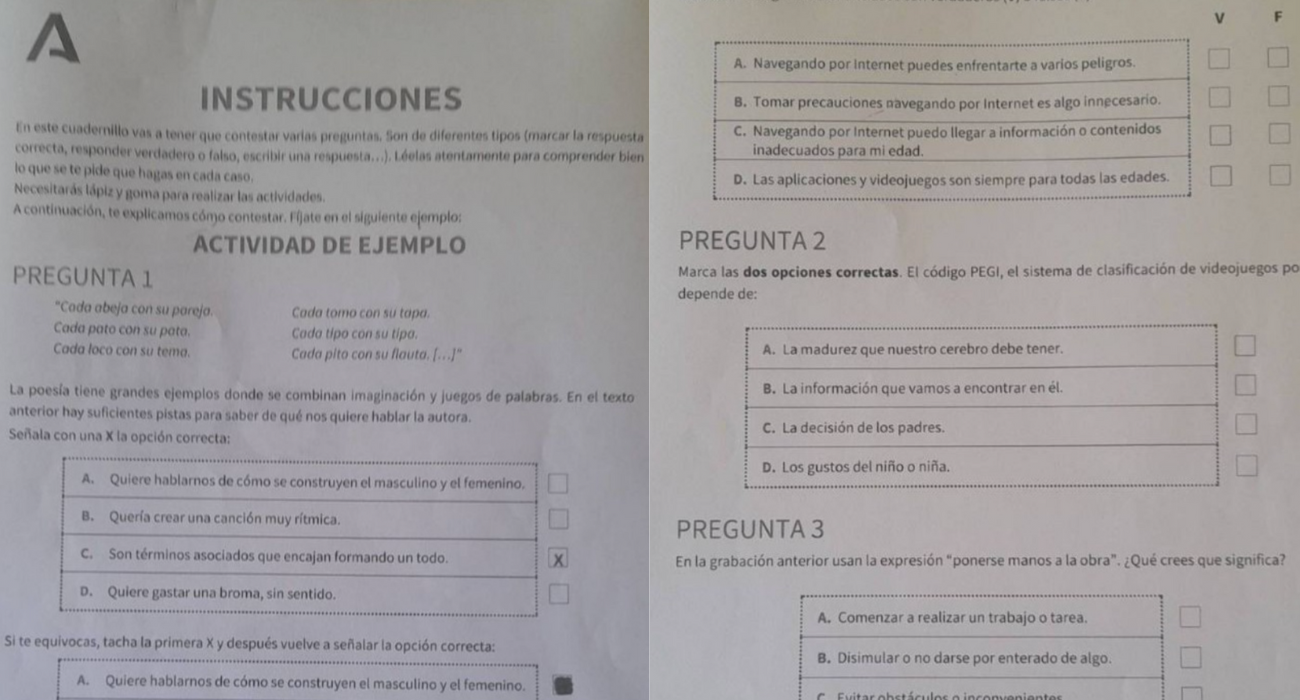 Pruebas de diagnóstico de cuarto de Primaria que han sido filtradas.