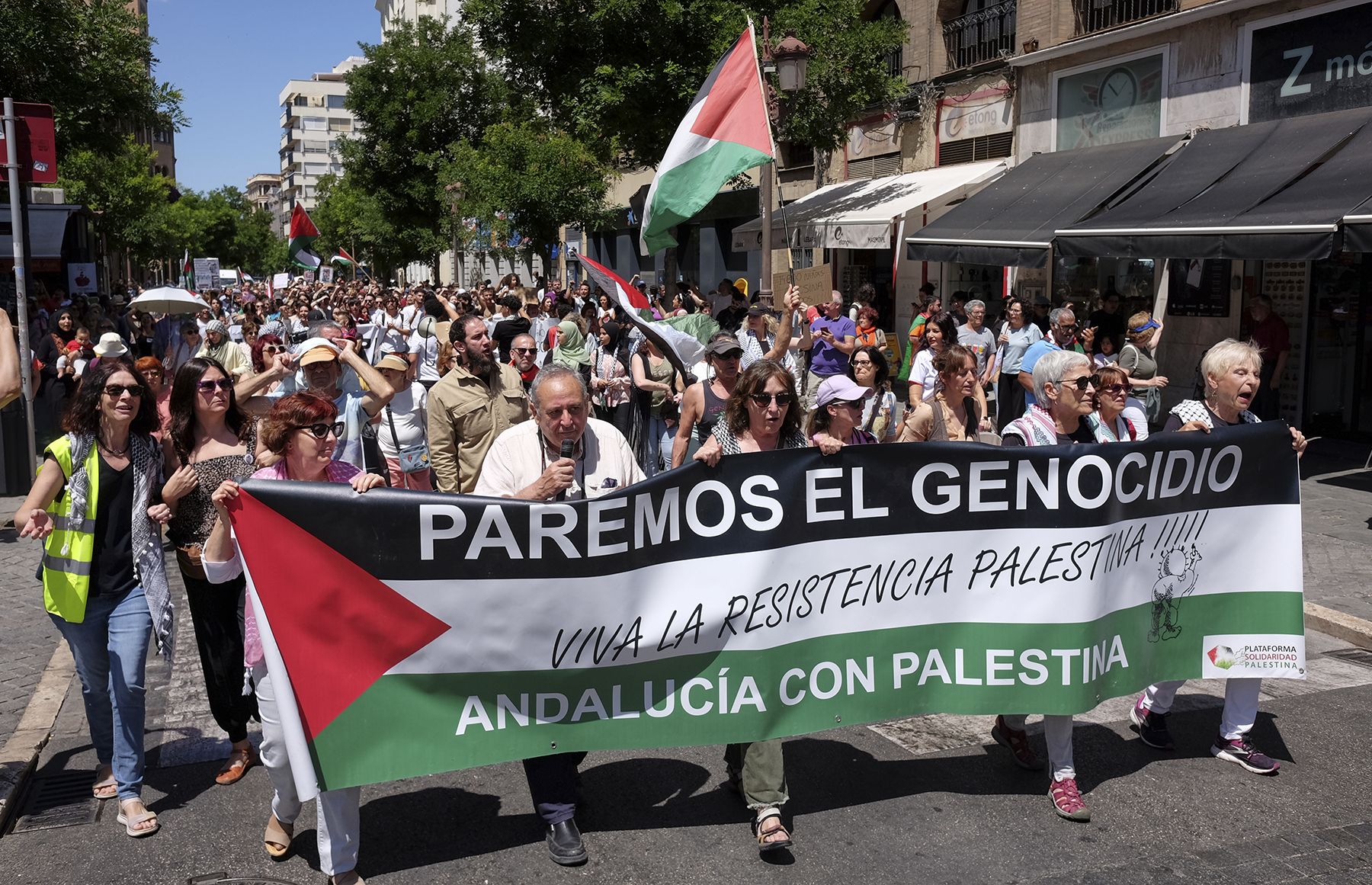 Manifestación contra la masacre de Gaza en Sevilla.