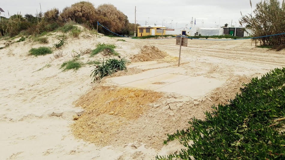 La duna de la playa de Aguadulce de Rota, afectada por la retroexcavadora.