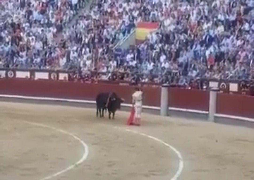 Momento del grito contra Pedro Sánchez en los toros.
