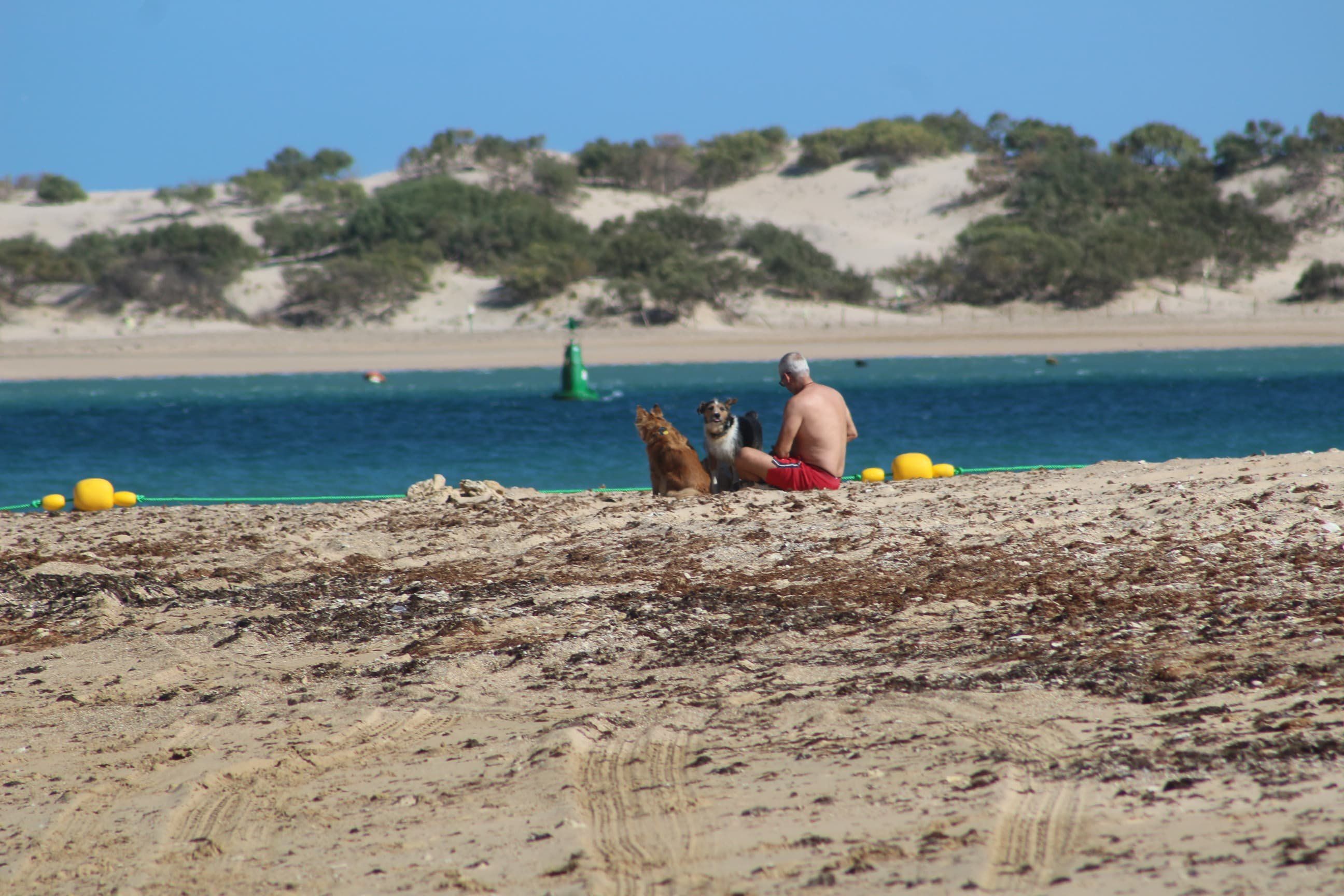 Chiclana estrena su playa canina en la zona de Lavaculos.
