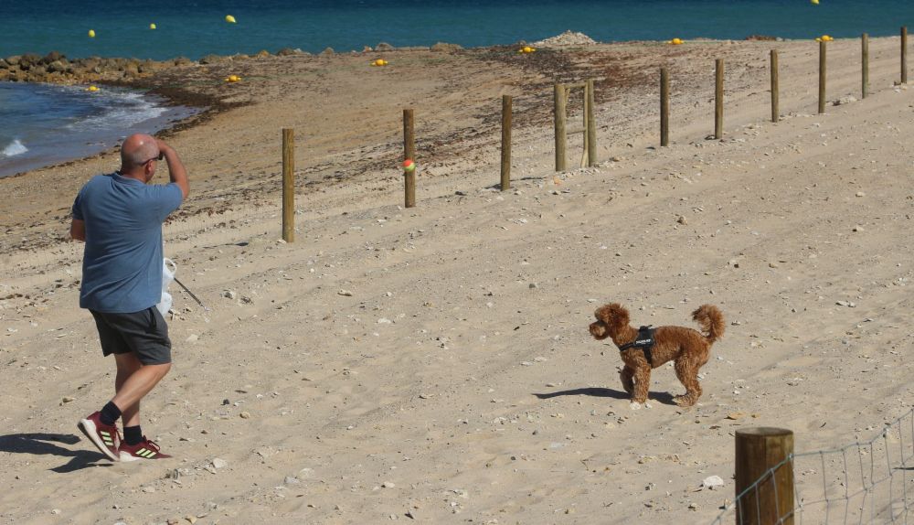 Chiclana tiene una playa canina para disfrutar con las mascotas.