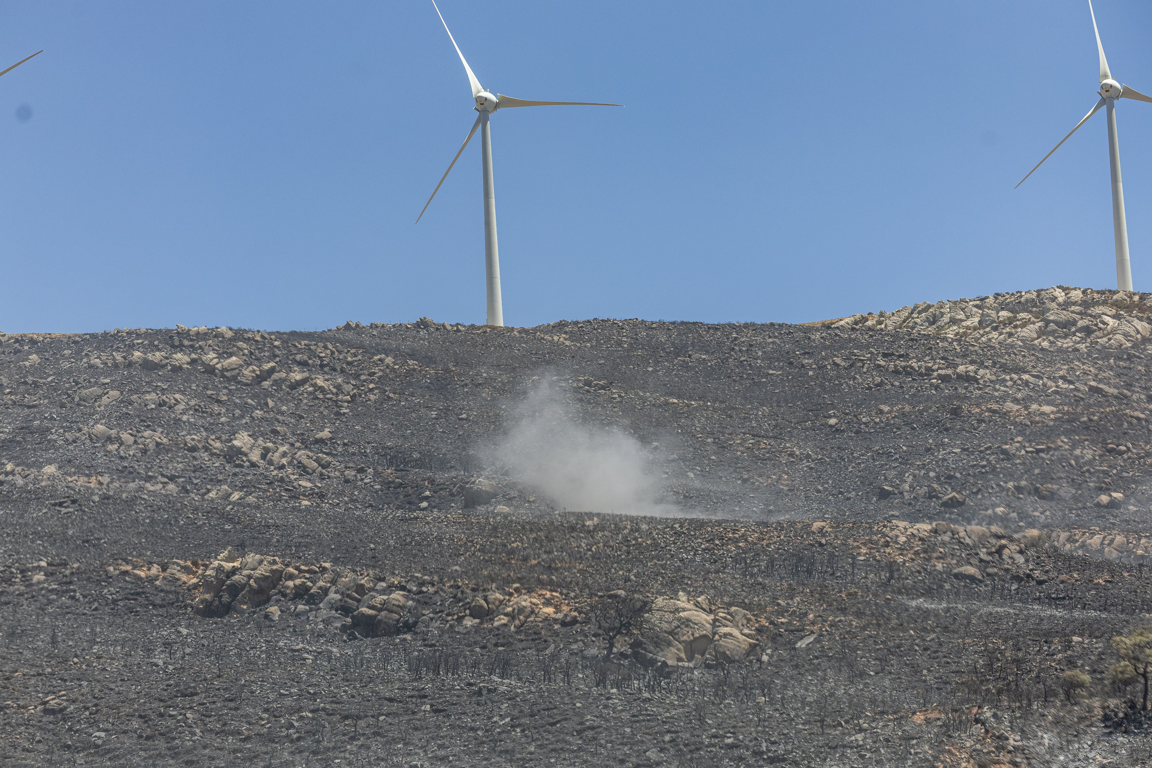 Parte de la zona arrasada por el incendio de Tarifa.