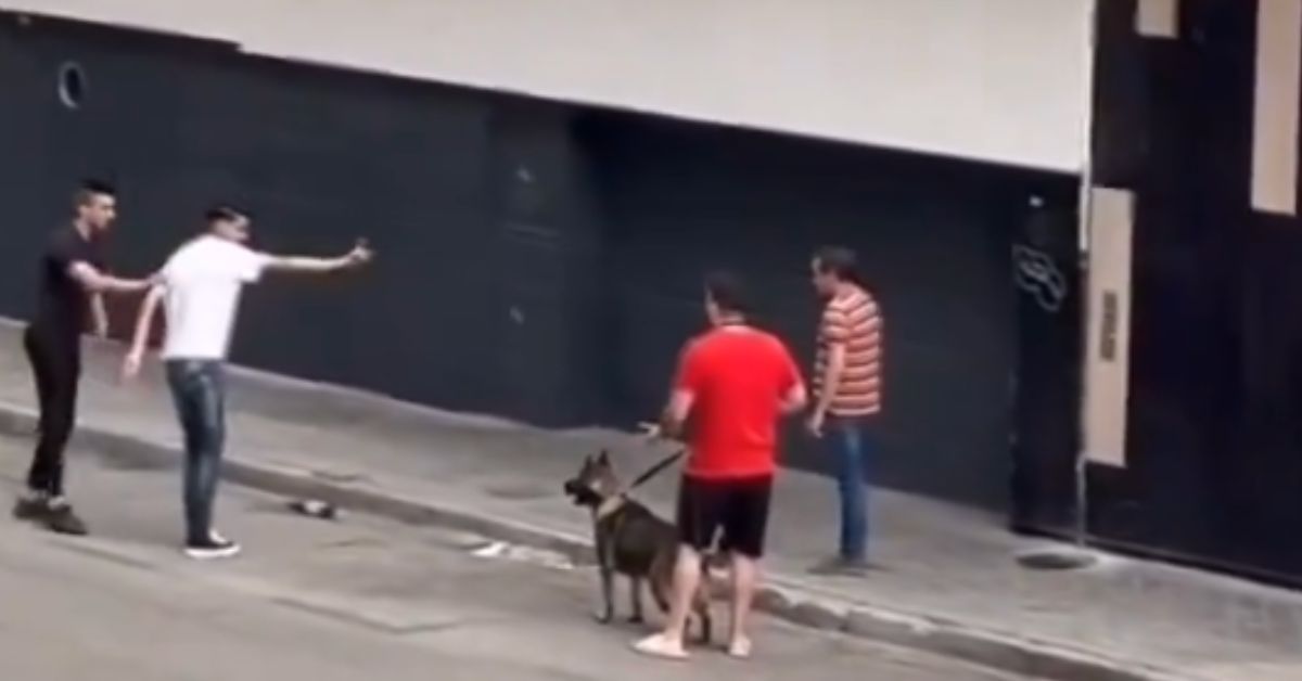 Un ciudadano y su perro median en la agresión verbal a un padre y a su hija.