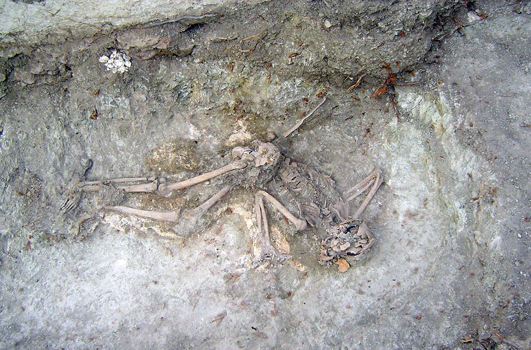 Víctima aparecida en la primera exhumación pública en Andalucía.