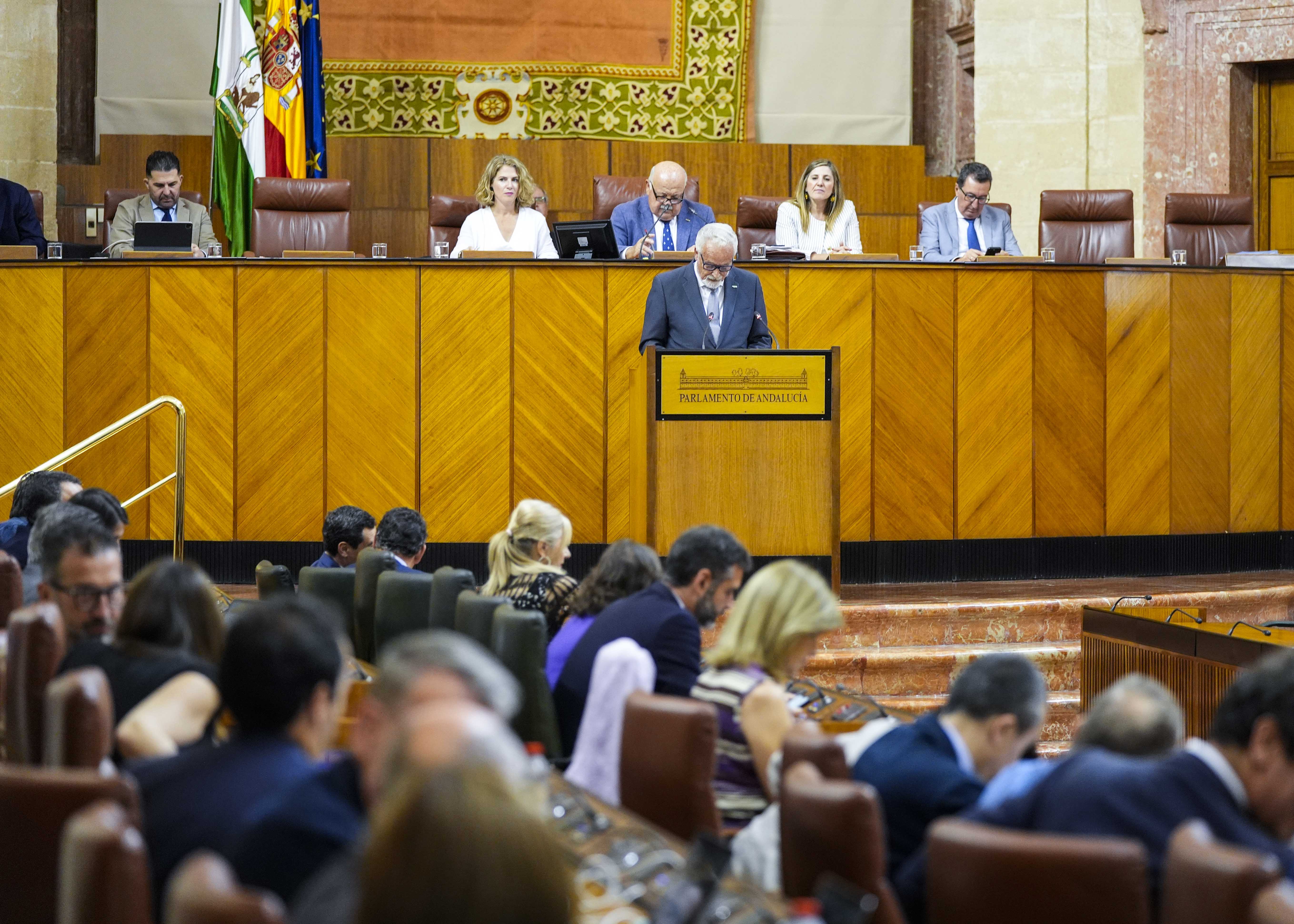 Jesús Maetzu, Defensor del Pueblo andaluz, durante su comparecencia.