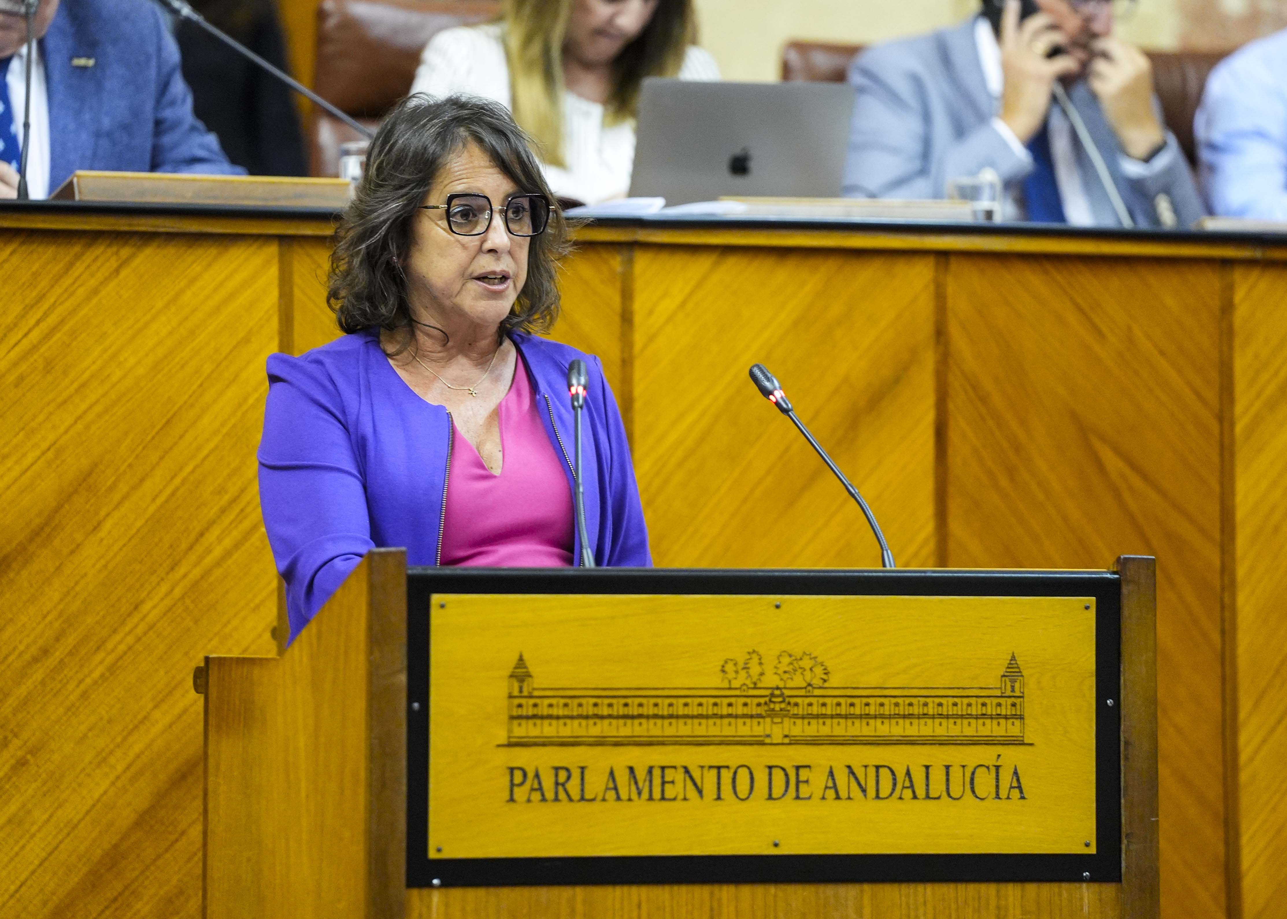 La consejera andaluza de Salud, Catalina García, este pasado miércoles en el Parlamento.