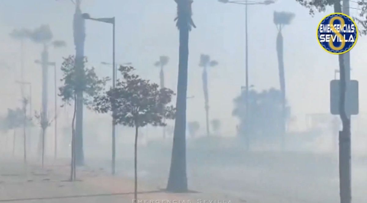 Humareda en la zona de Pítamo en Sevilla.