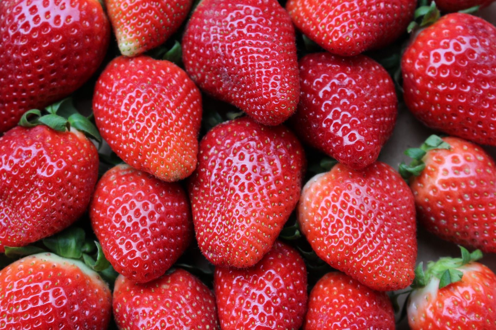 Las fresas, un producto andaluz líder en ventas. 