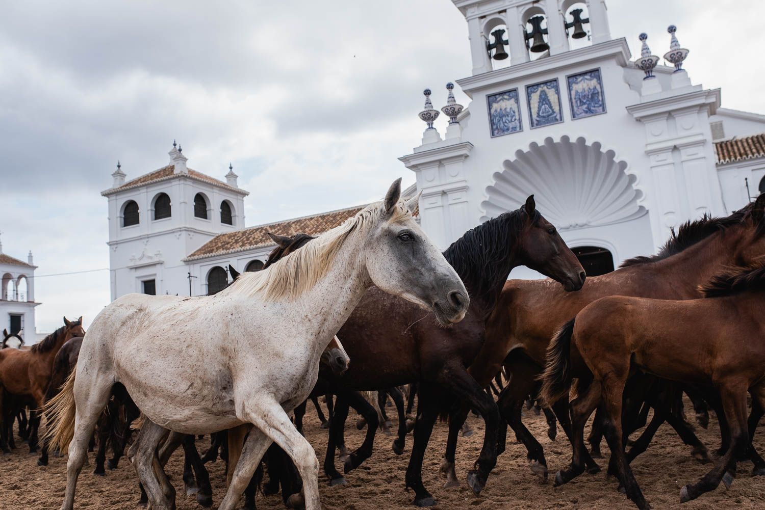 La saca de las yeguas, de Doñana a El Rocío, en imágenes.