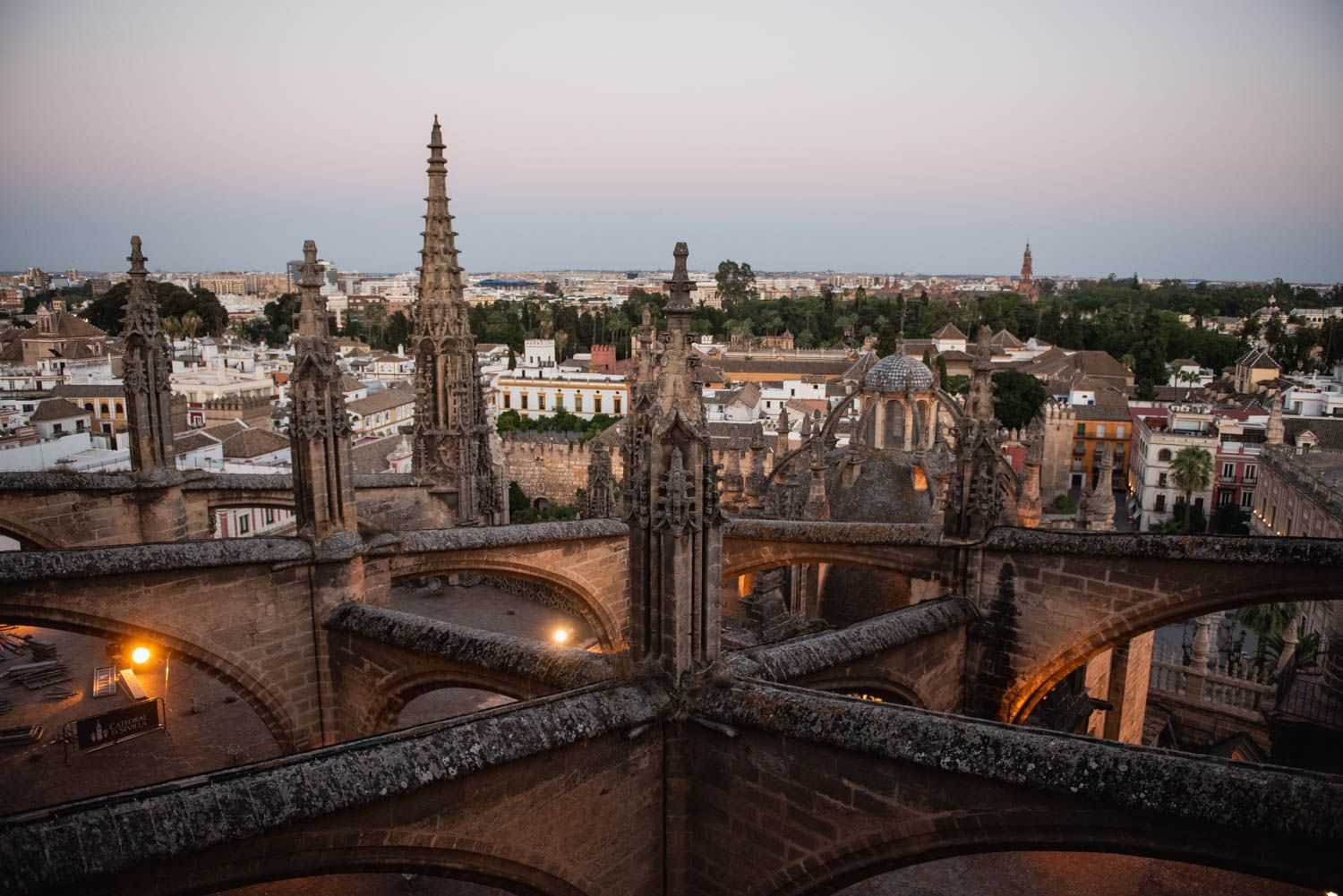 Las cubiertas de la Catedral de Sevilla y las vistas de la ciudad, en imágenes.