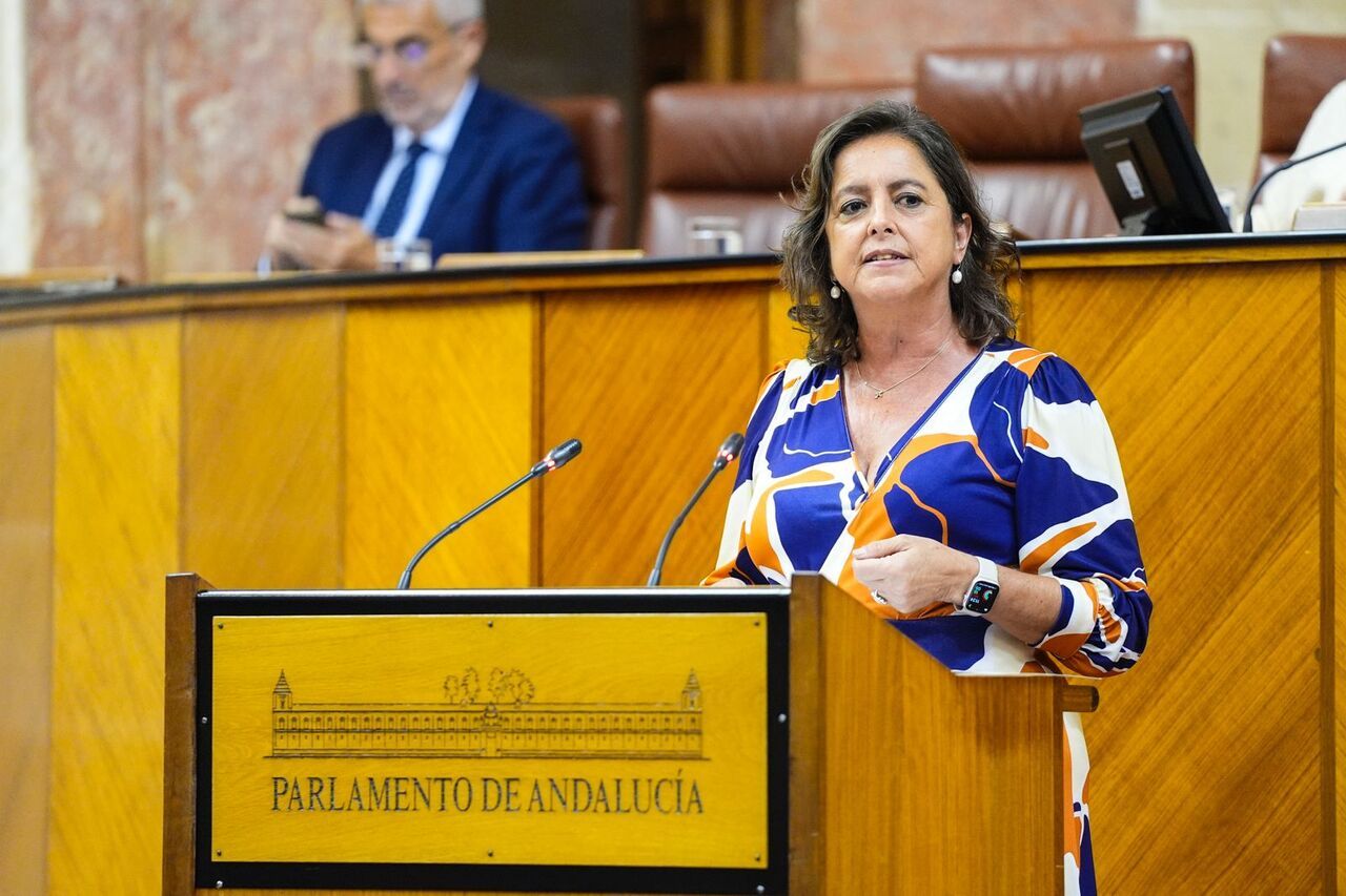 Catalina García, consejera de Salud y responsable del SAS.