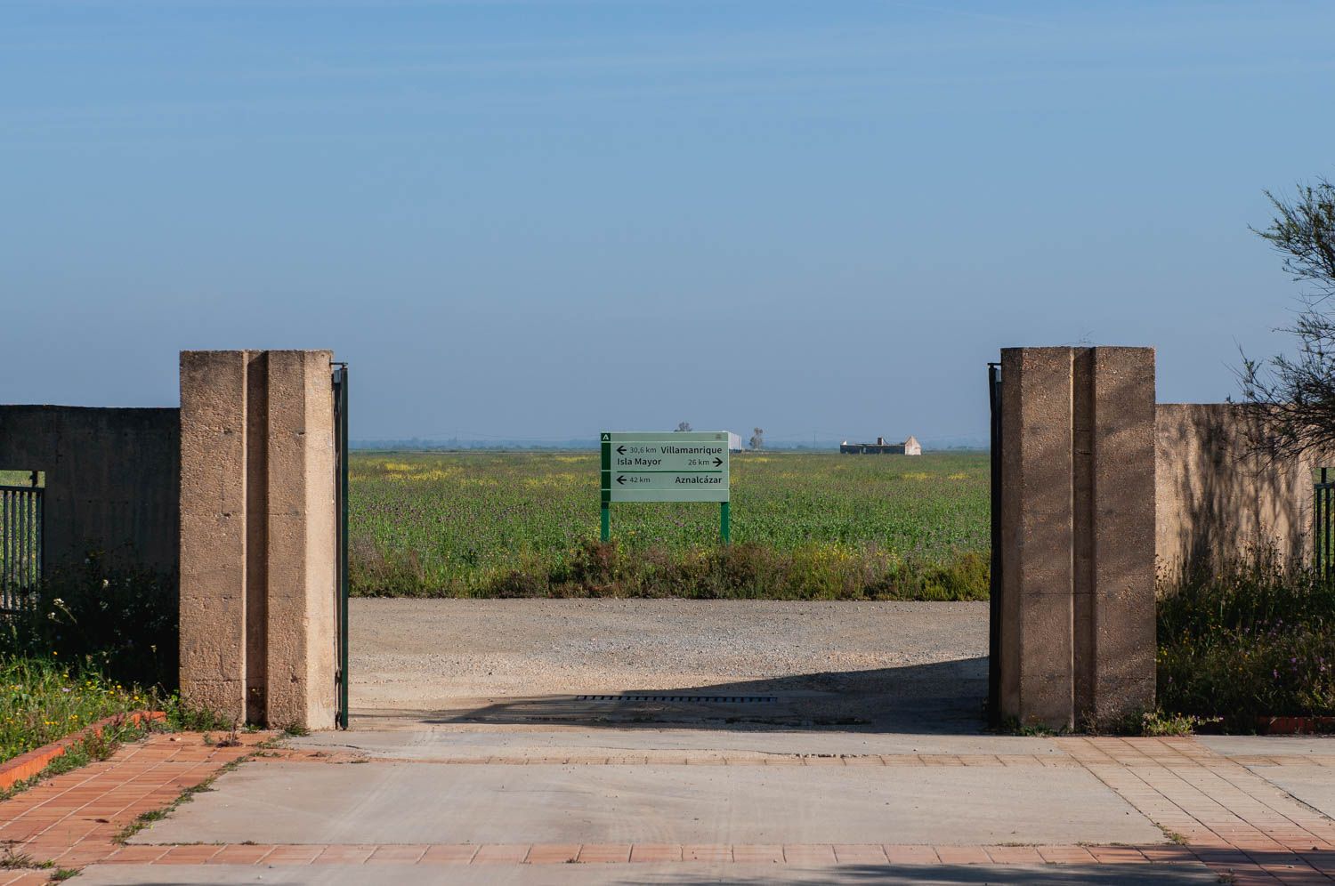 Imagen de Doñana.