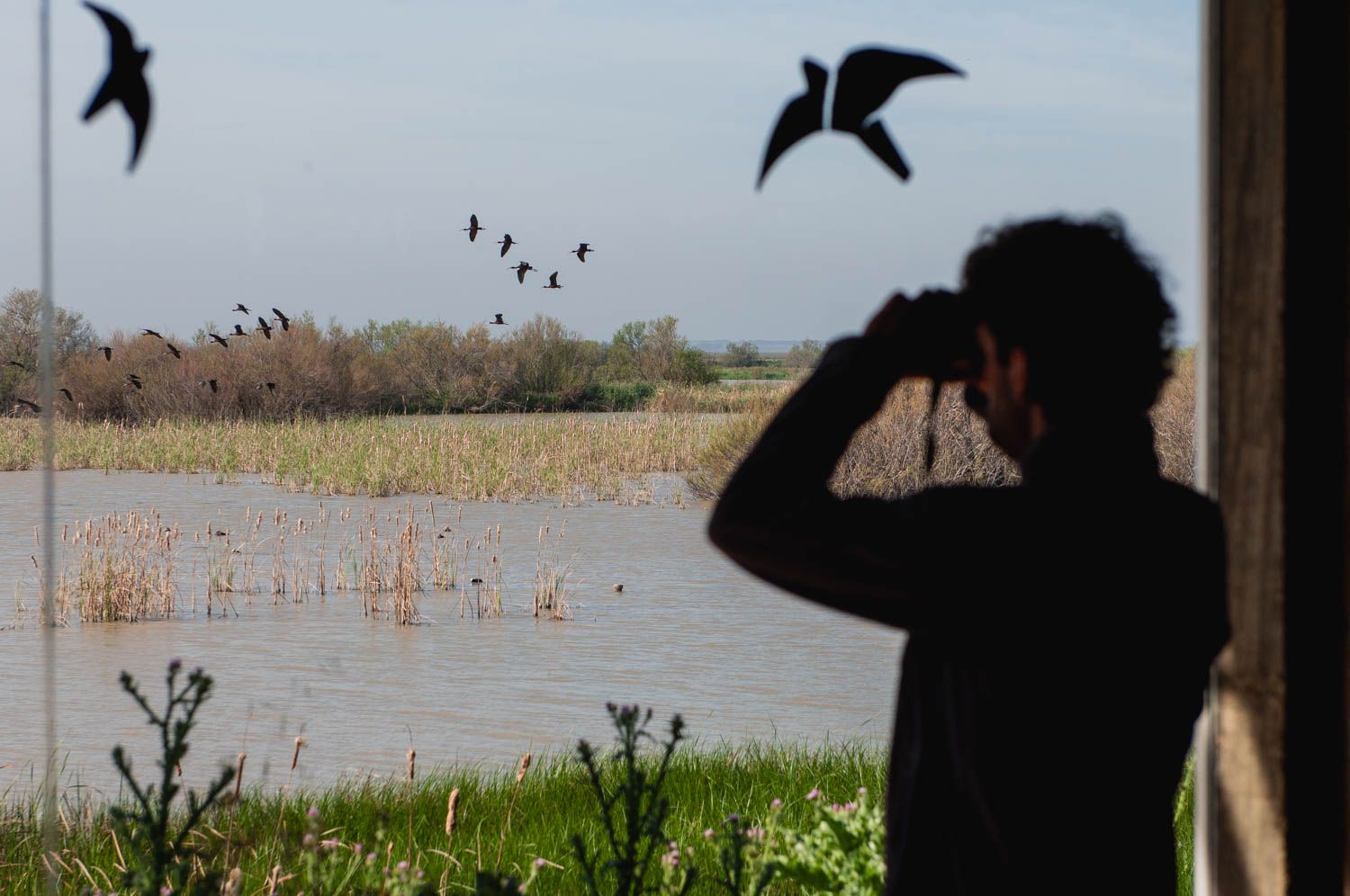 Un visitante de Doñana observa las aves del parque.