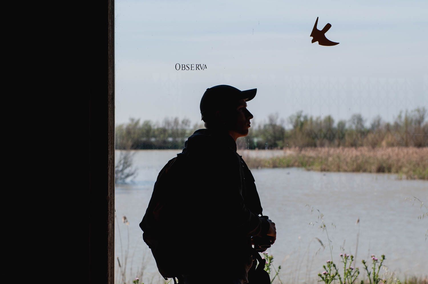 Un visitante en Doñana.