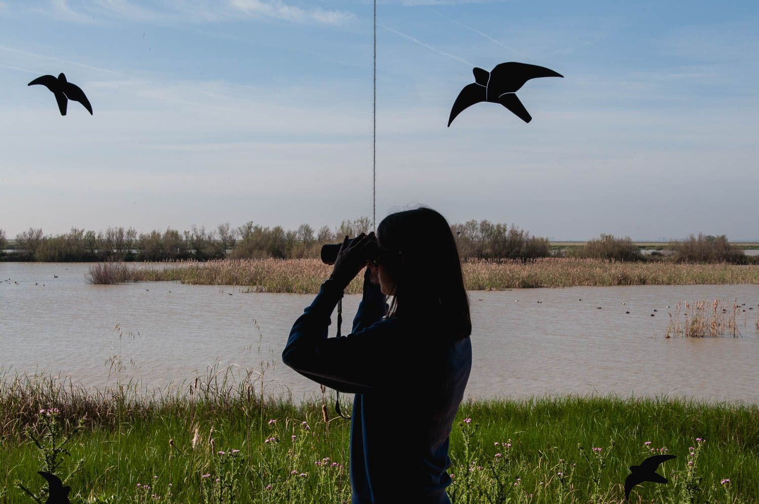 Una persona observa la fauna en el Parque Nacional de Doñana.