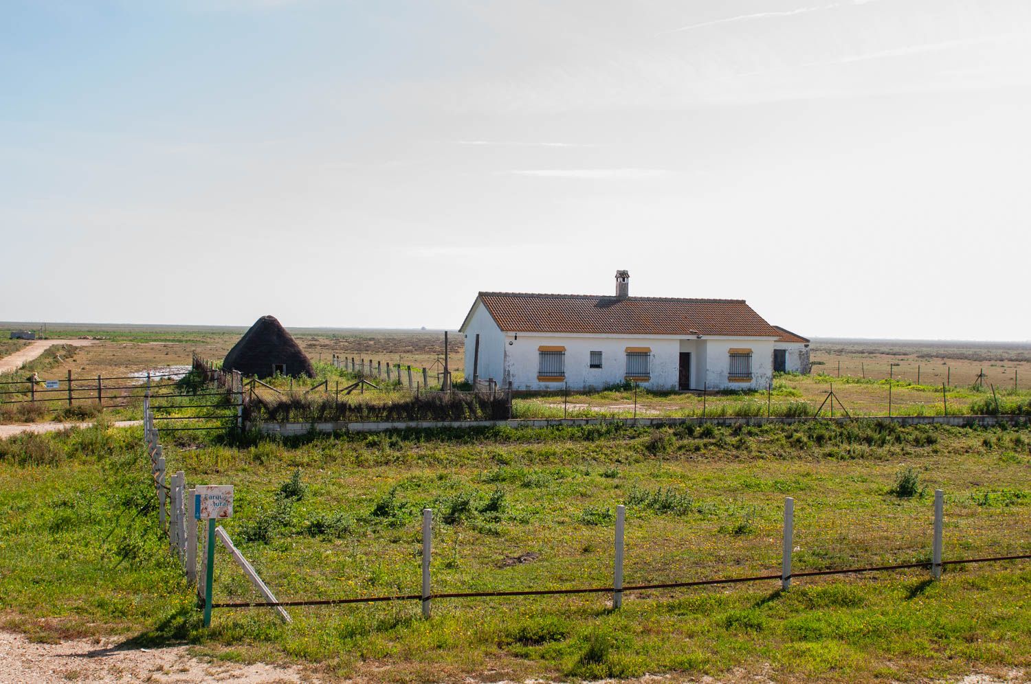 Una imagen de Doñana. La Junta ha presentado una nueva ley de Gestión Ambiental.