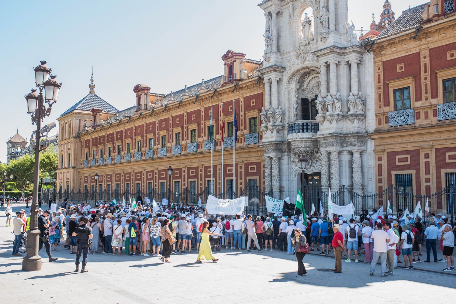 Una manifestación frente al Palacio de San Telmo.