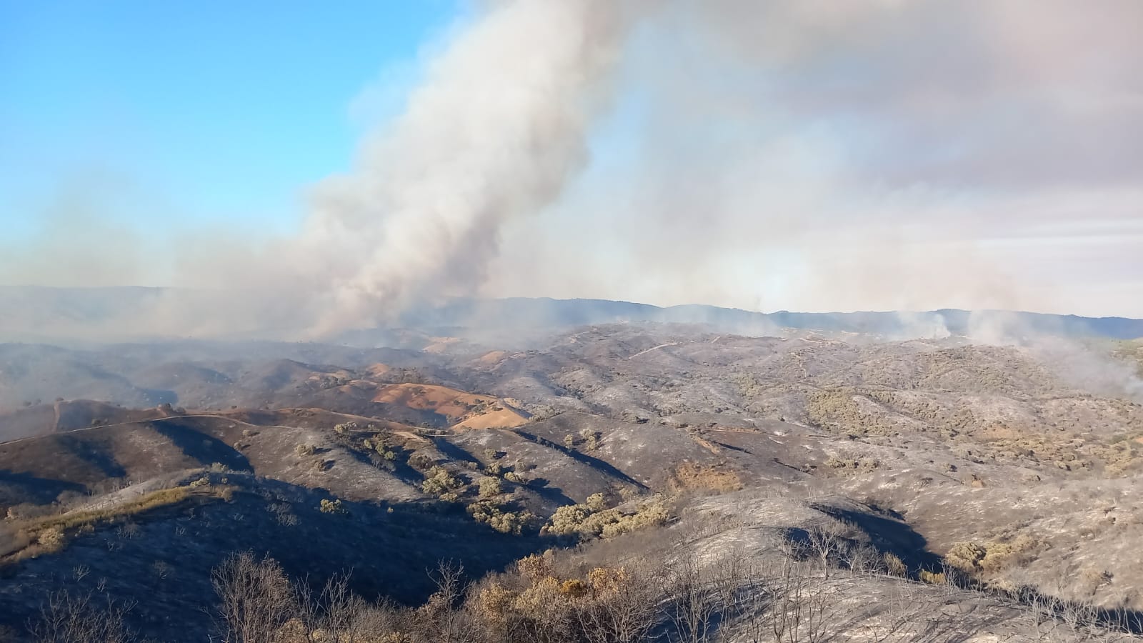 La columna de humo por el incendio de Cerro Muriano.
