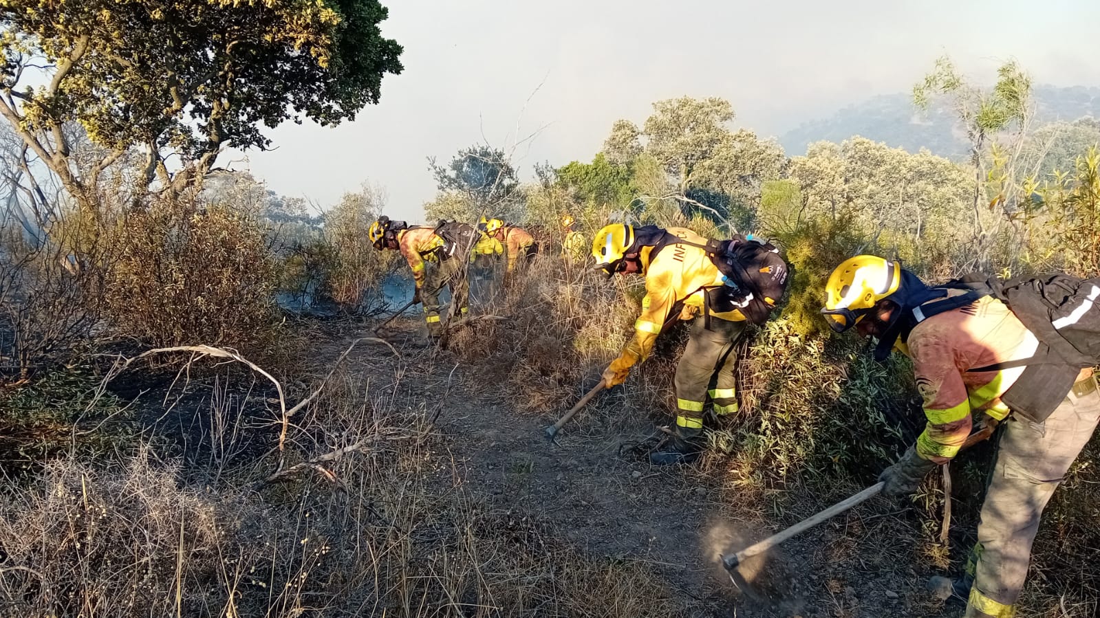 Bomberos del Infoca trabajando en la zona norte del incendio de Cerro Muriano.