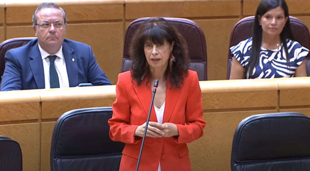 La ministra de Igualdad, Ana Redondo, durante una intervención en el Senado.