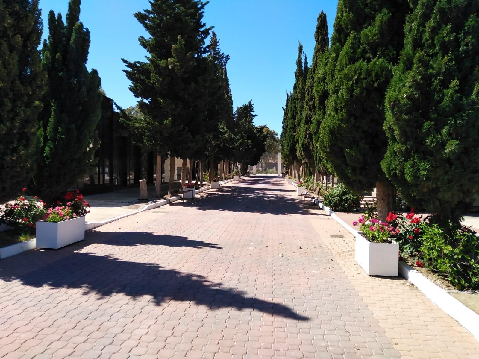 Cementerio de Águilas, donde han profanado una tumba.