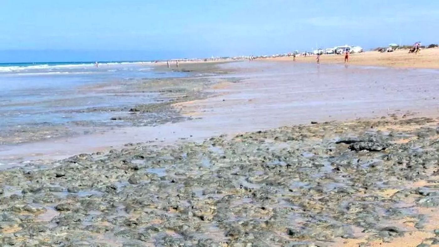 El fango en la orilla de la playa de Camposoto, en San Fernando.