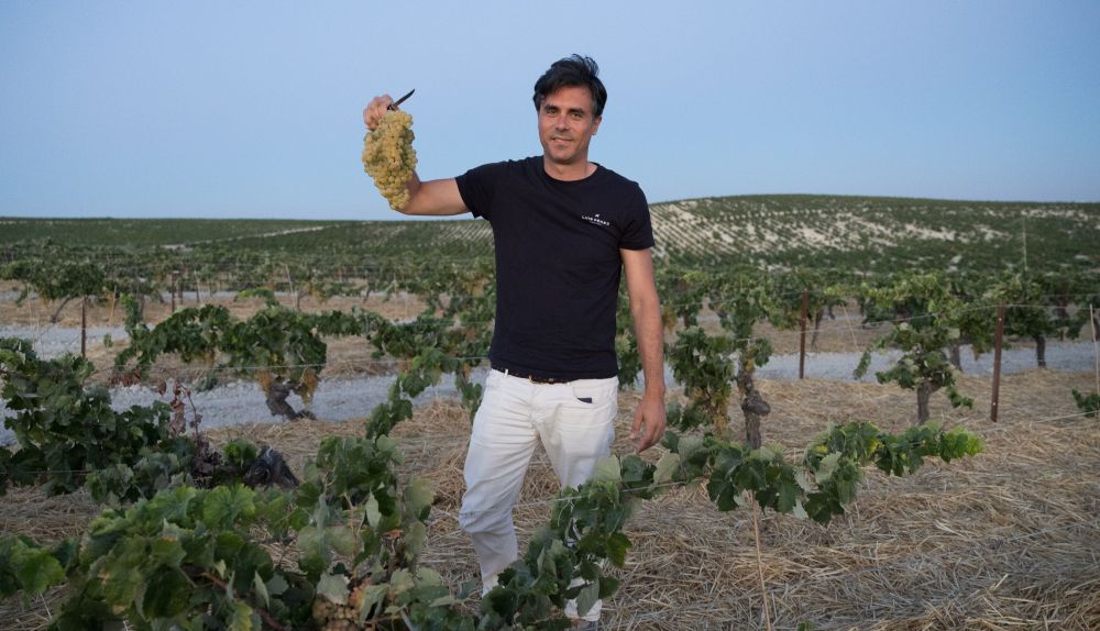 Willy Pérez sostiene un racimo de uva palomino fino.