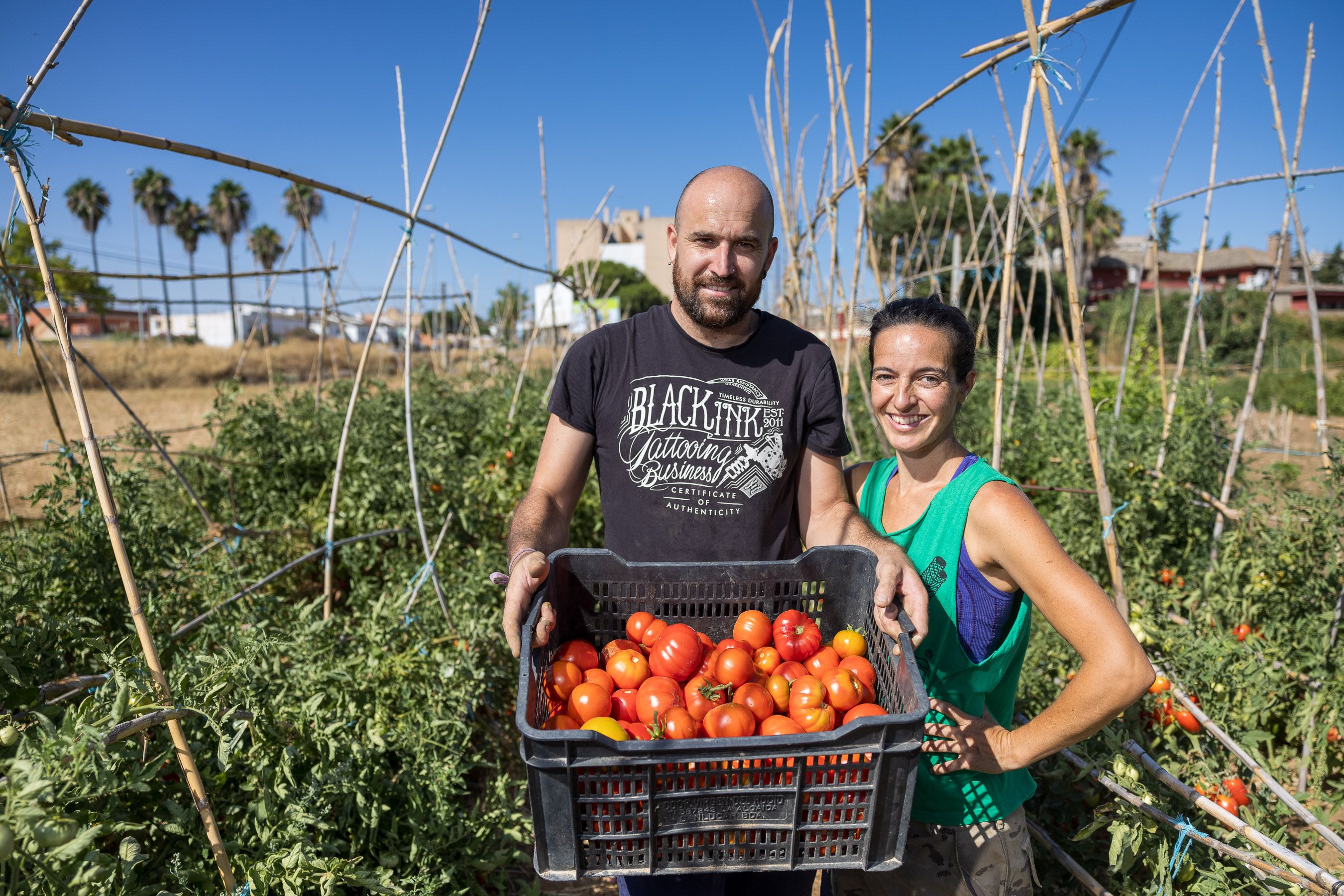 El huerto ecológico en pleno Jerez, en imágenes.